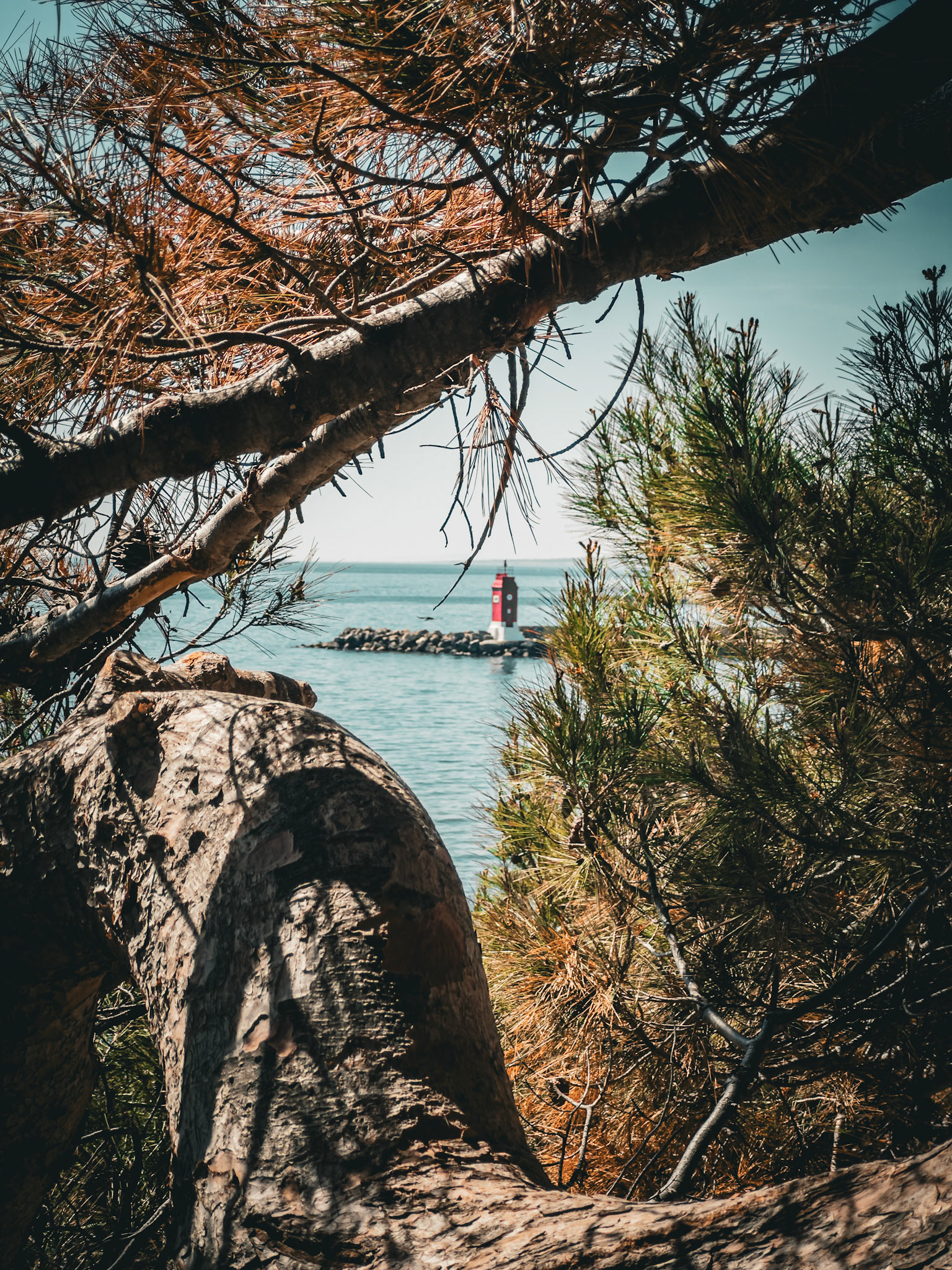 Lighthouse