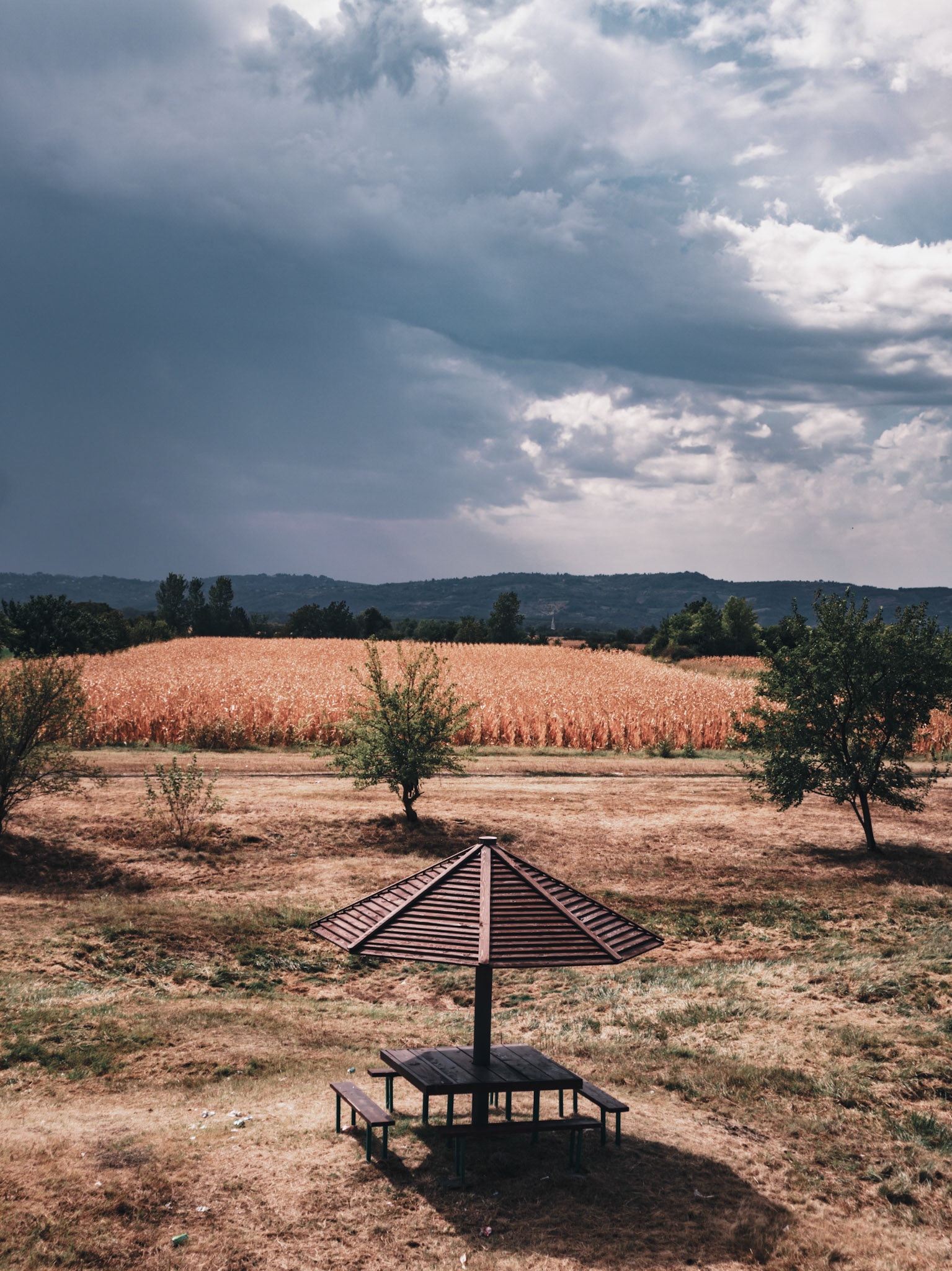 Corn Fields