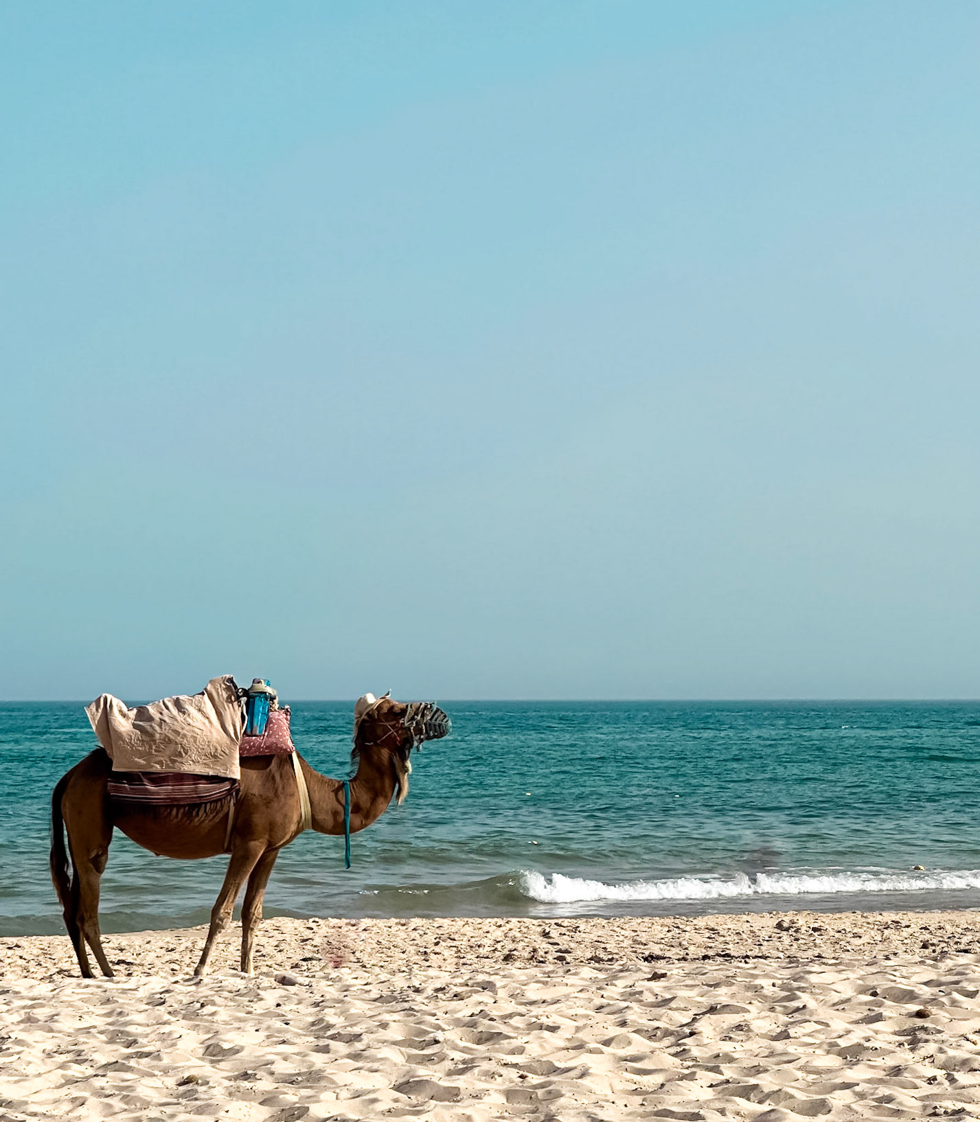 Tunisia
