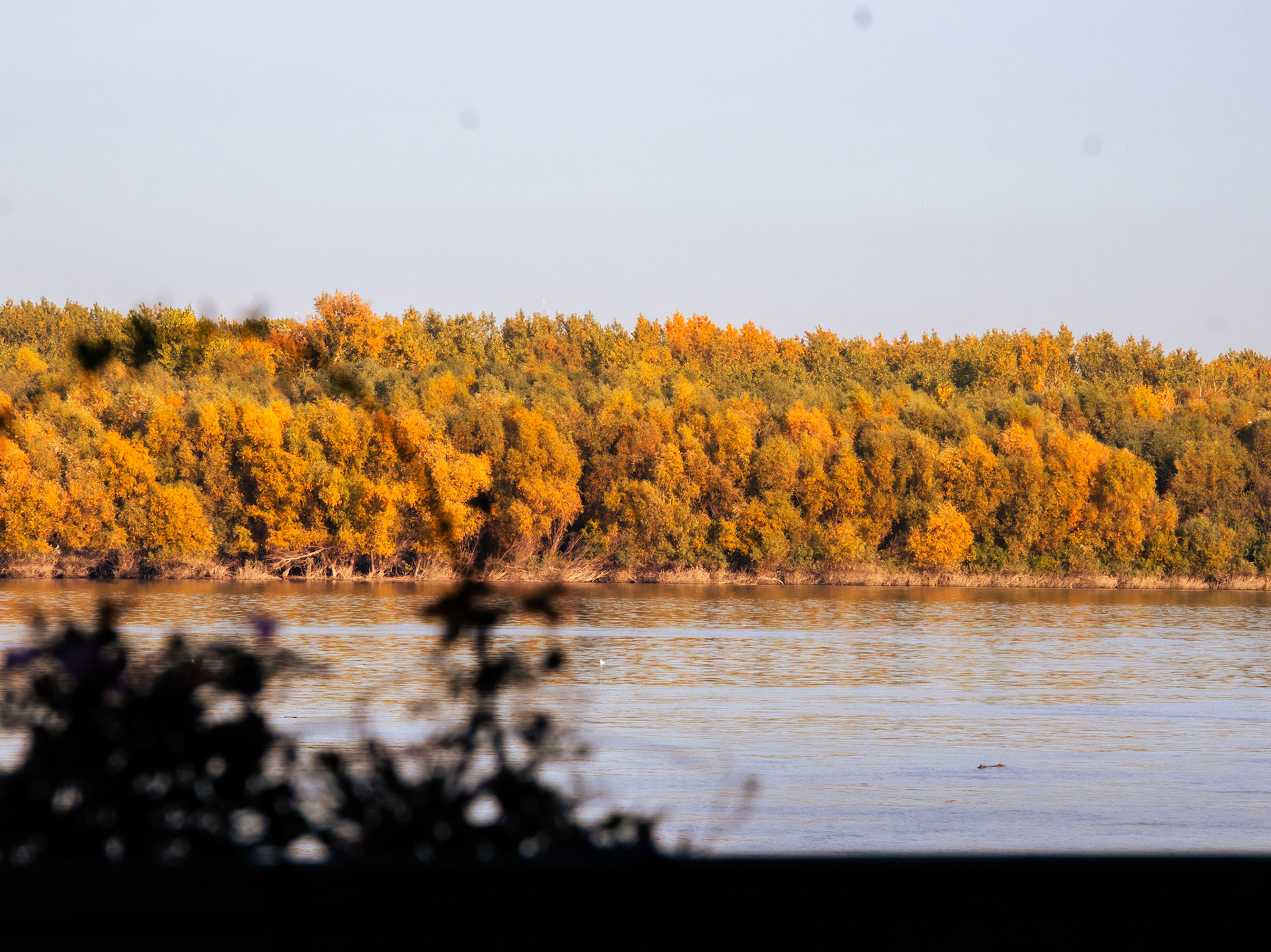 The Danube