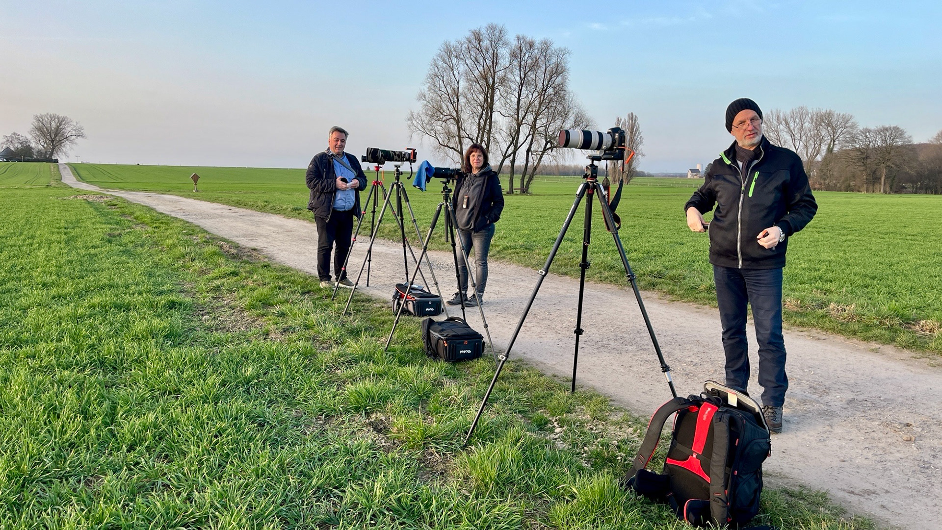 Phoenixer vor den Sonnuntergang Lanstroperei