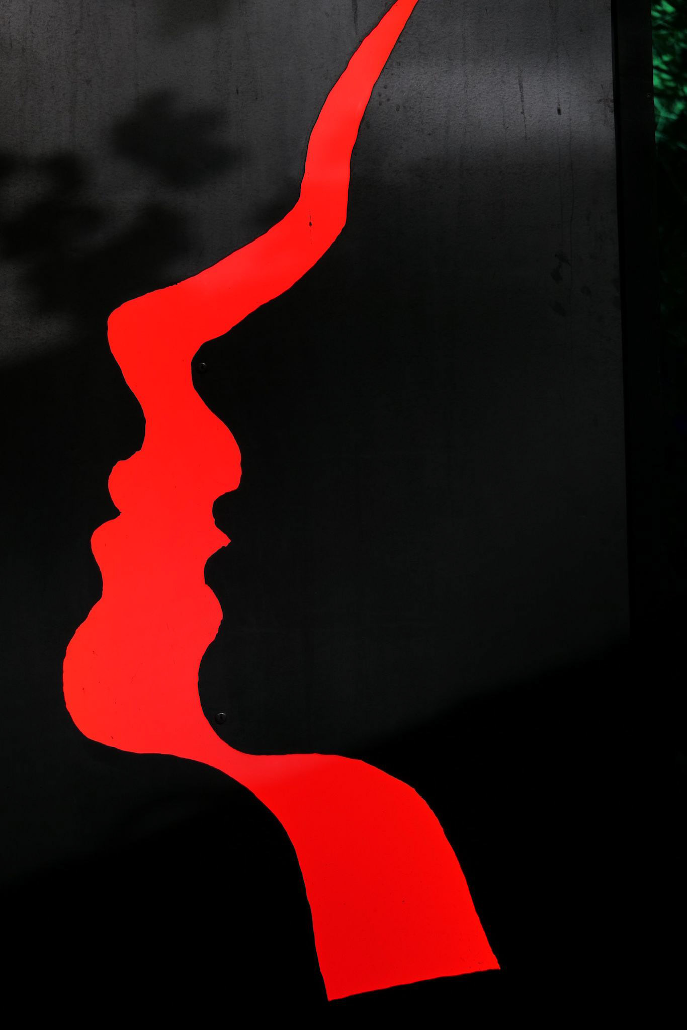 Verena Nassall