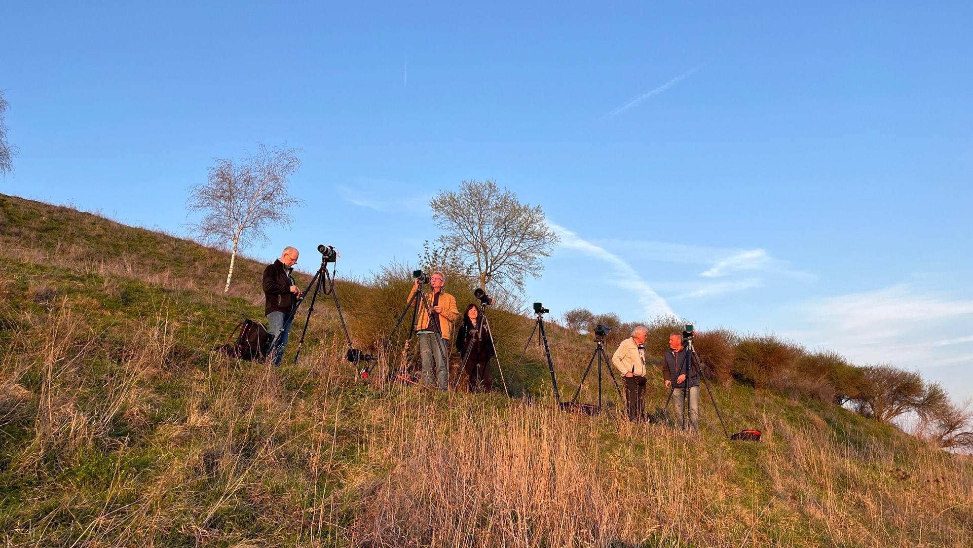 Phoenixer am Kaiserberg am Phoenixsee