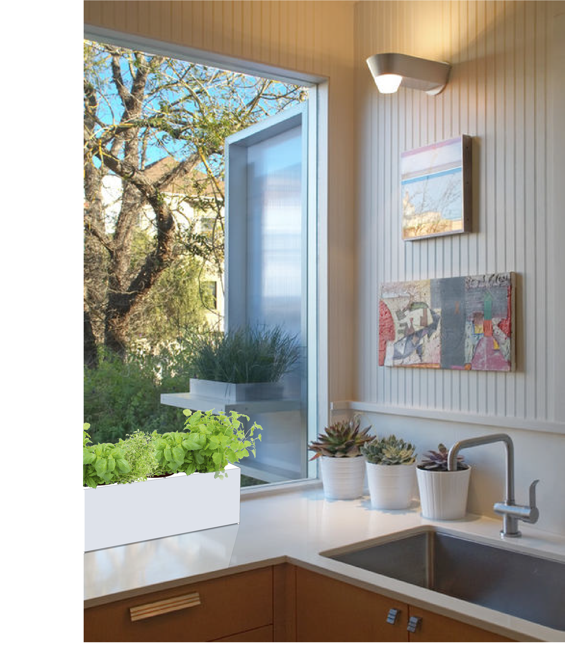 Perfect for countertops, grow herbs like a pro.