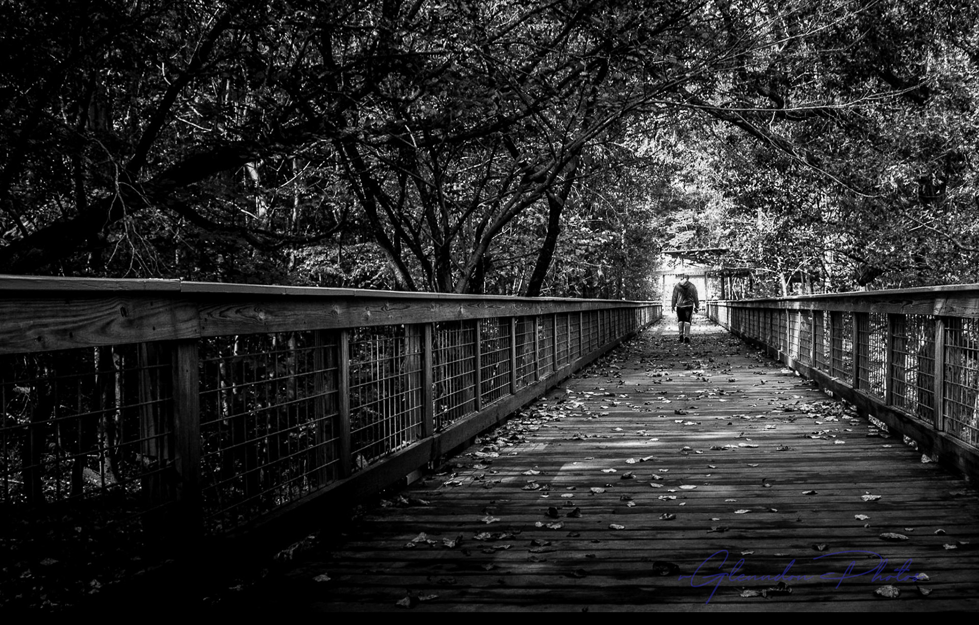 lone person walking away from the camera on wooden bridge surrounded by dense trees in black and white