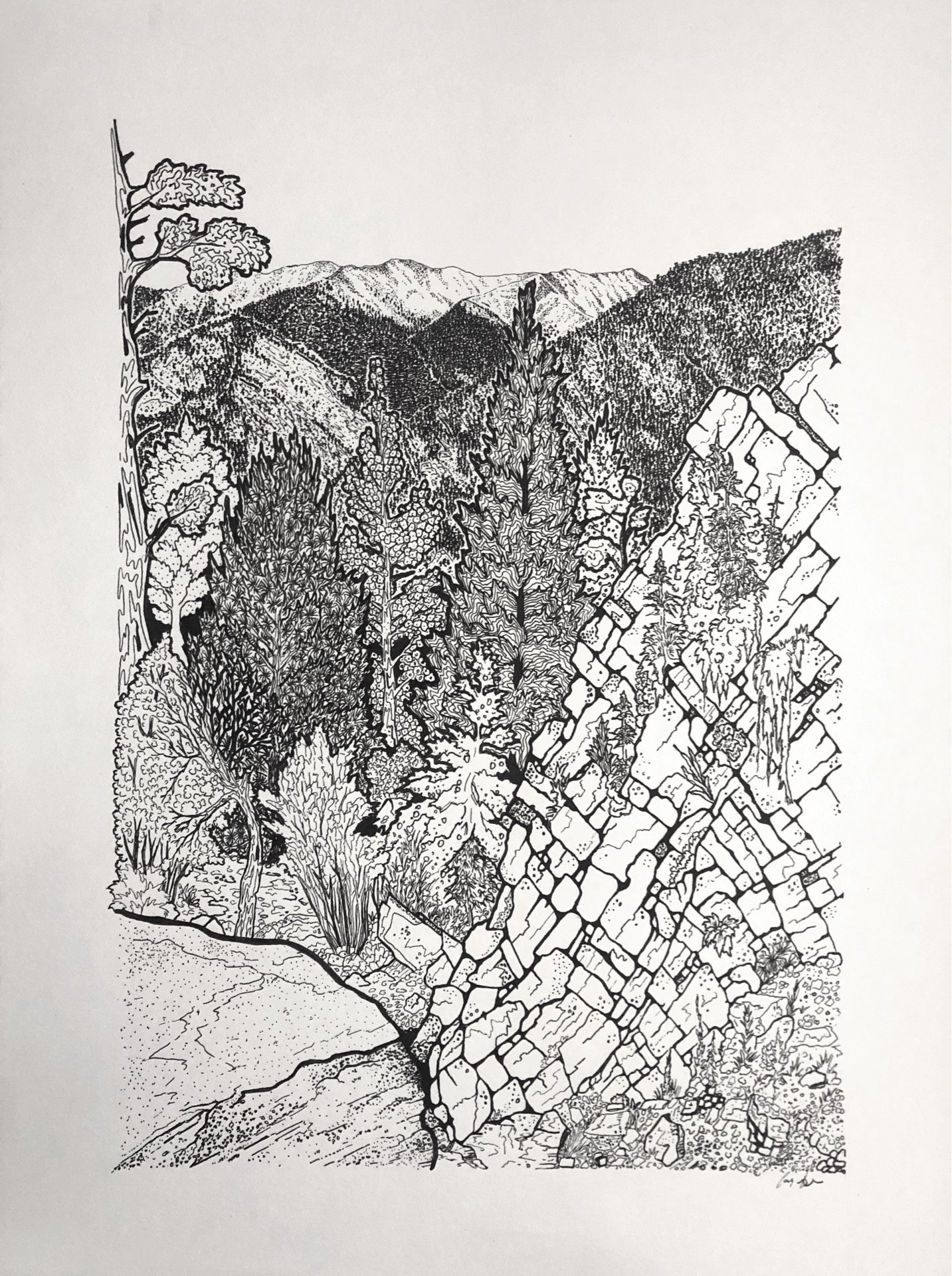 Colorado, pen and ink