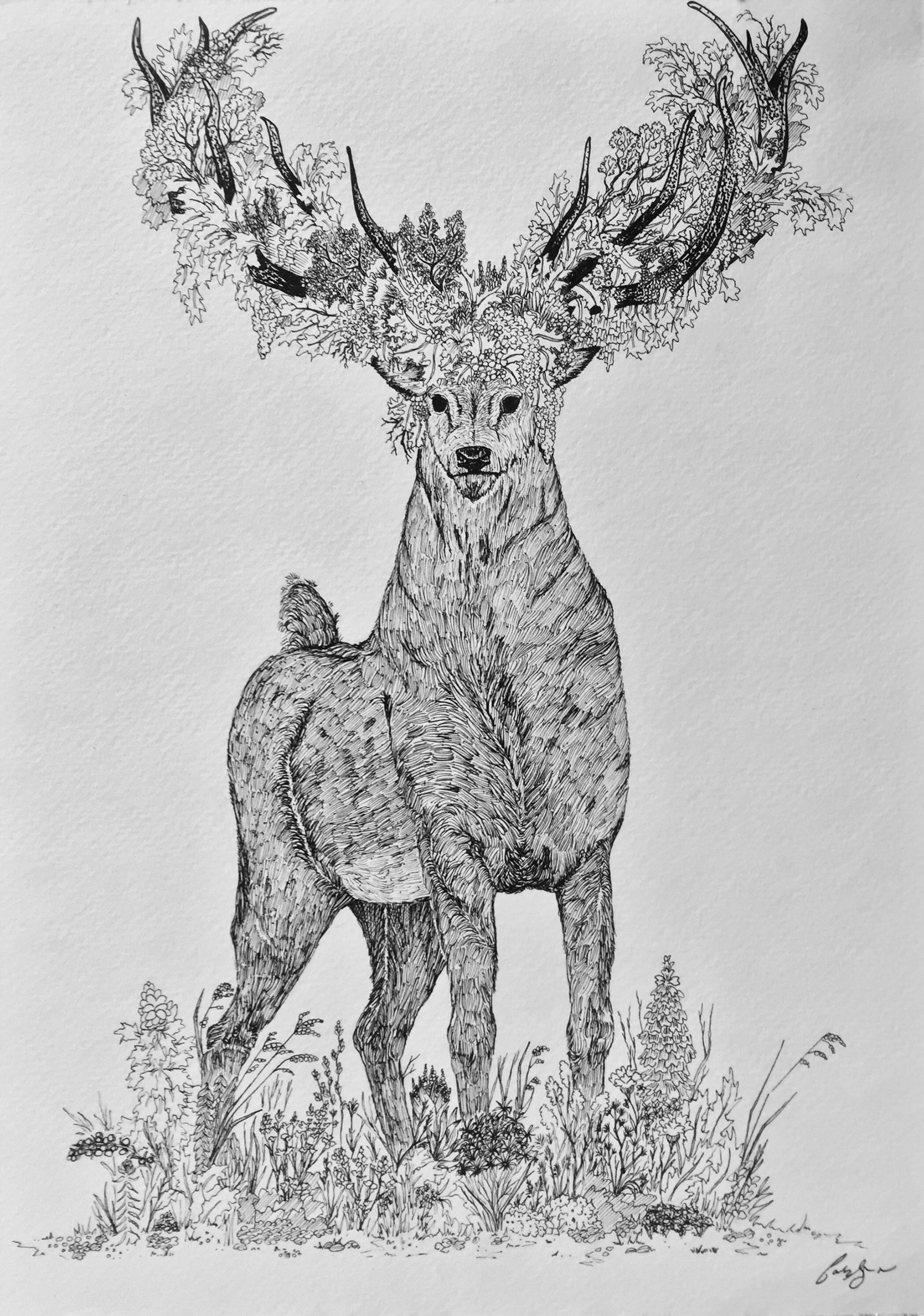 The Sentinel, pen and ink