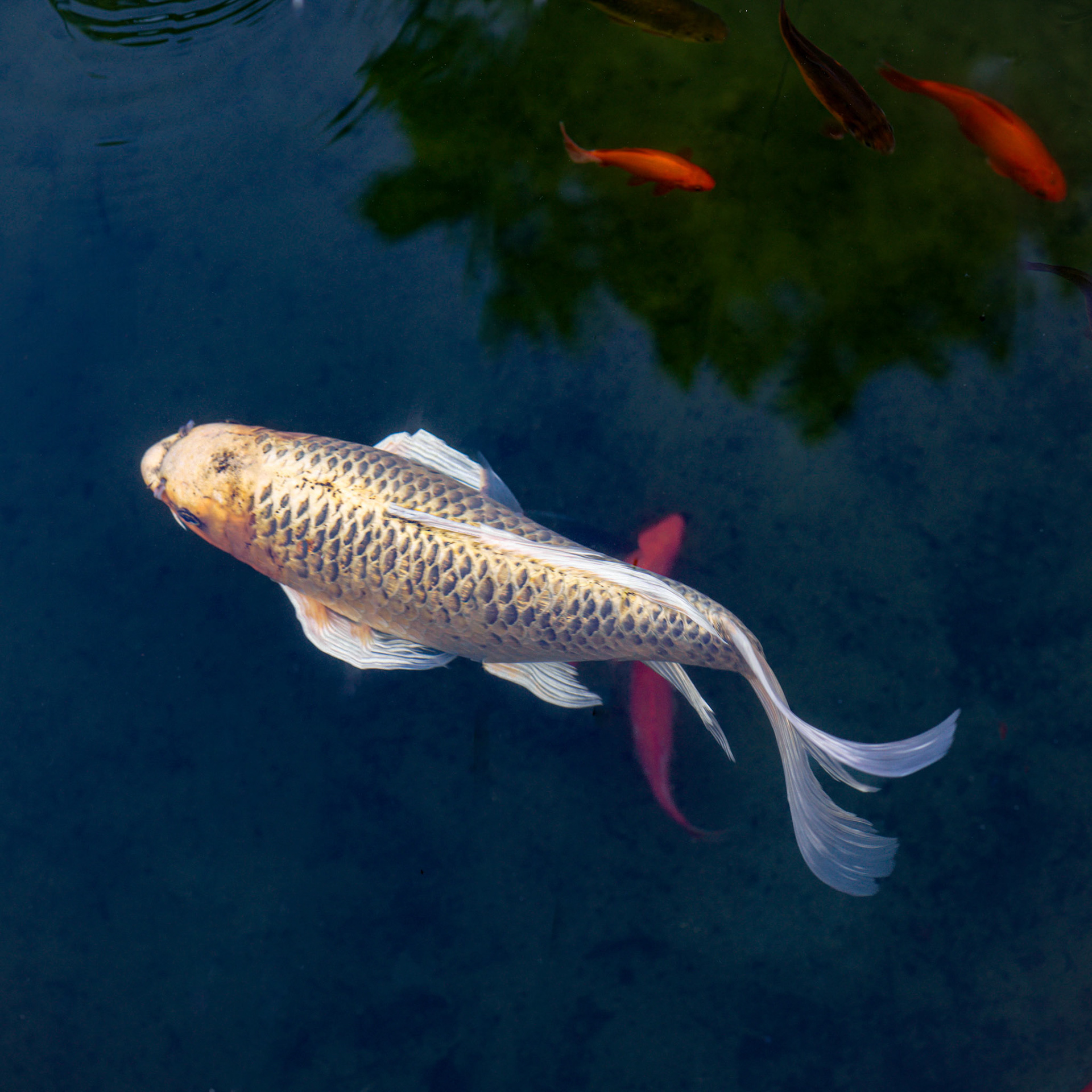 Lausanne, 2024 © Georges Felouzis