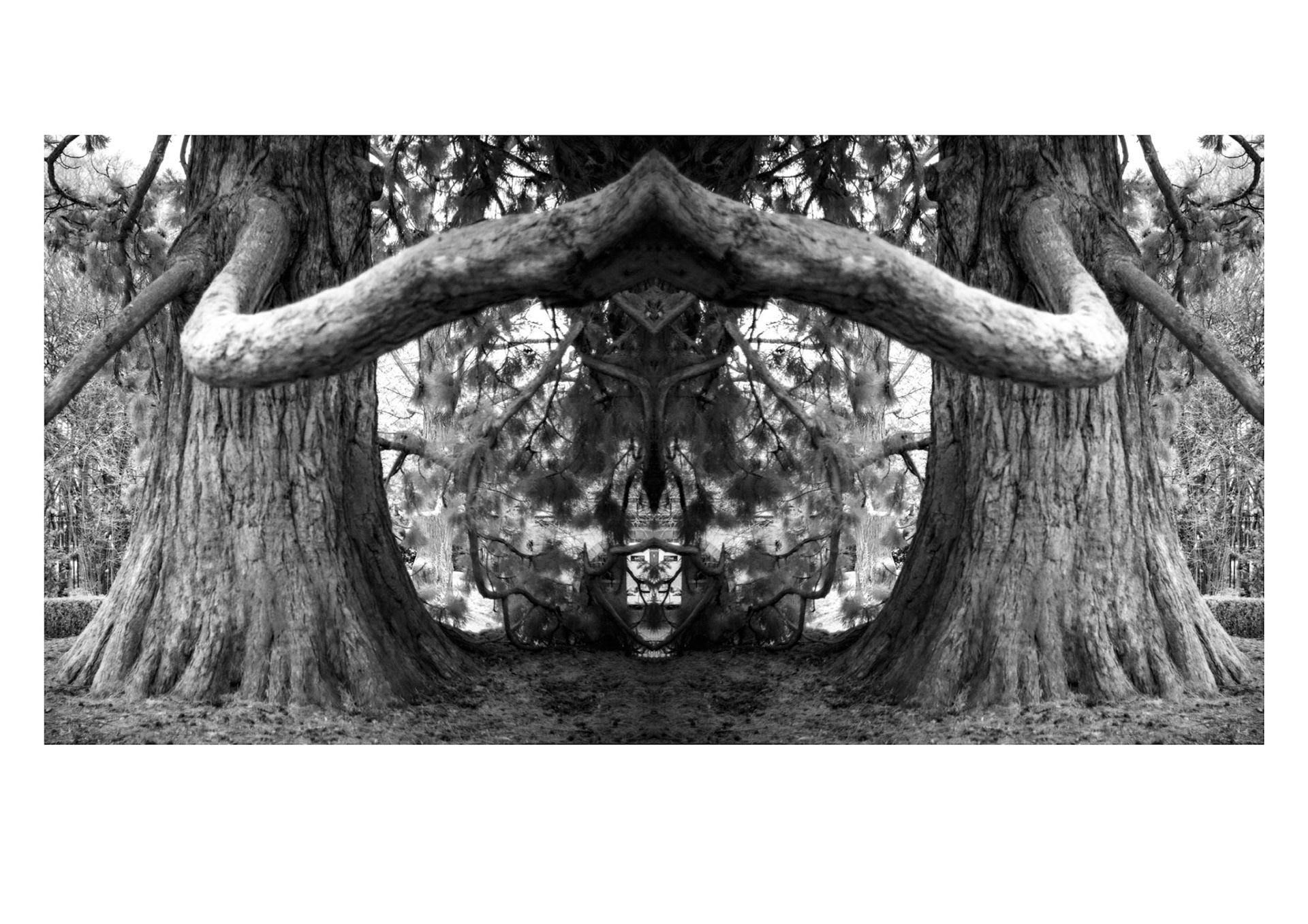 Lausanne, 2024 © Georges Felouzis