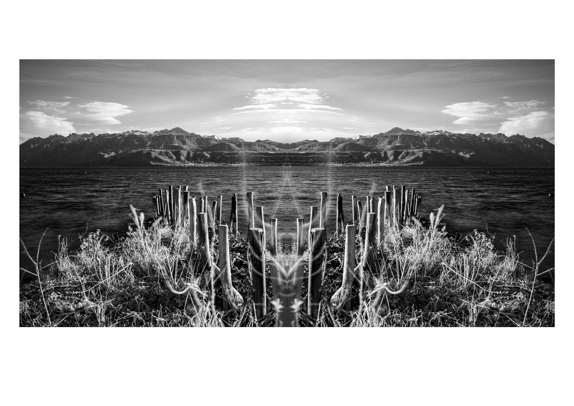 Lac Léman, 2024 © Georges Felouzis