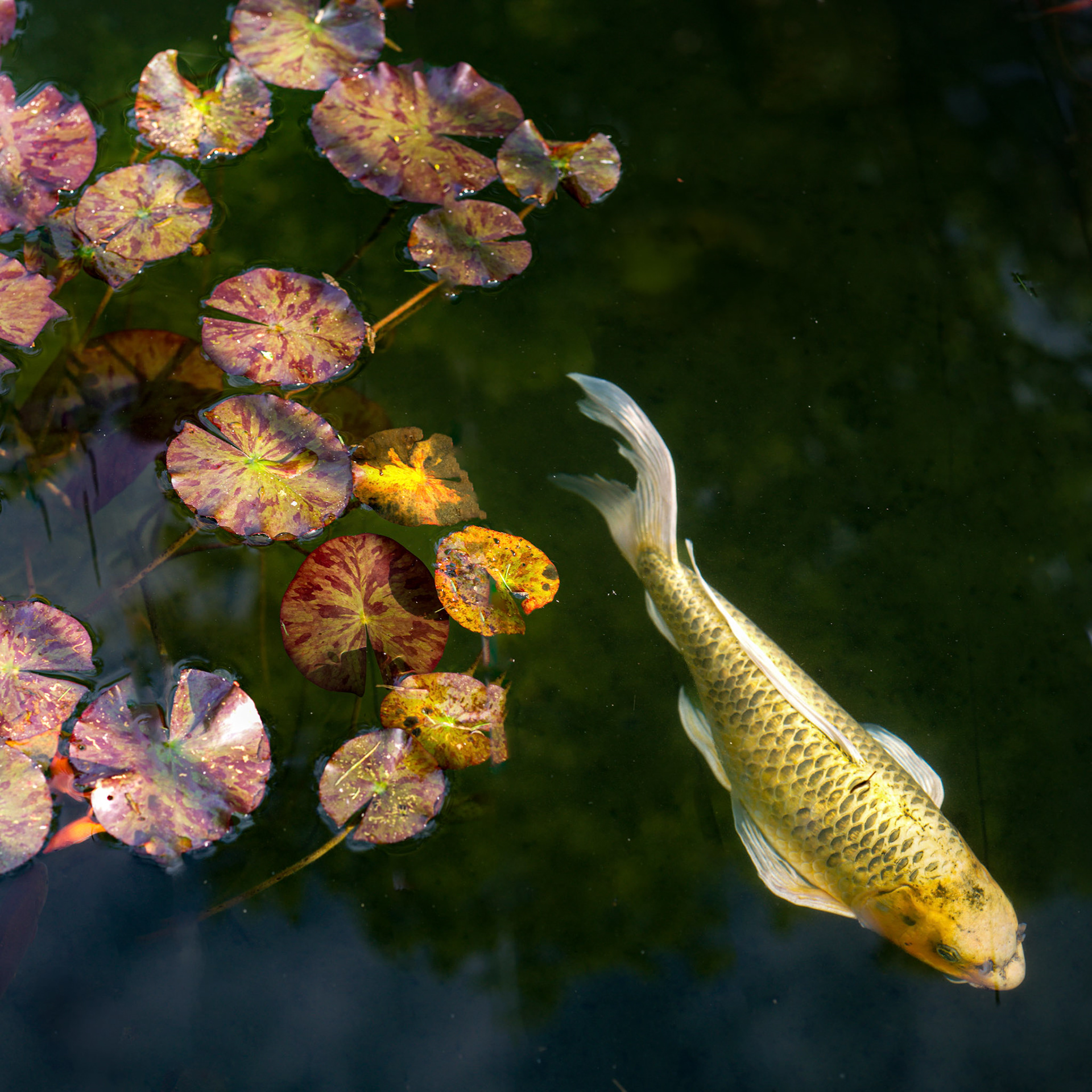 Lausanne, 2024 © Georges Felouzis