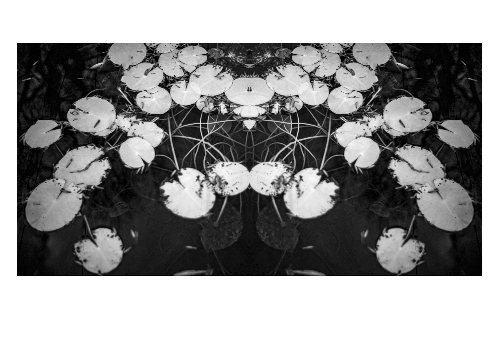 Lausanne, 2024 © Georges Felouzis