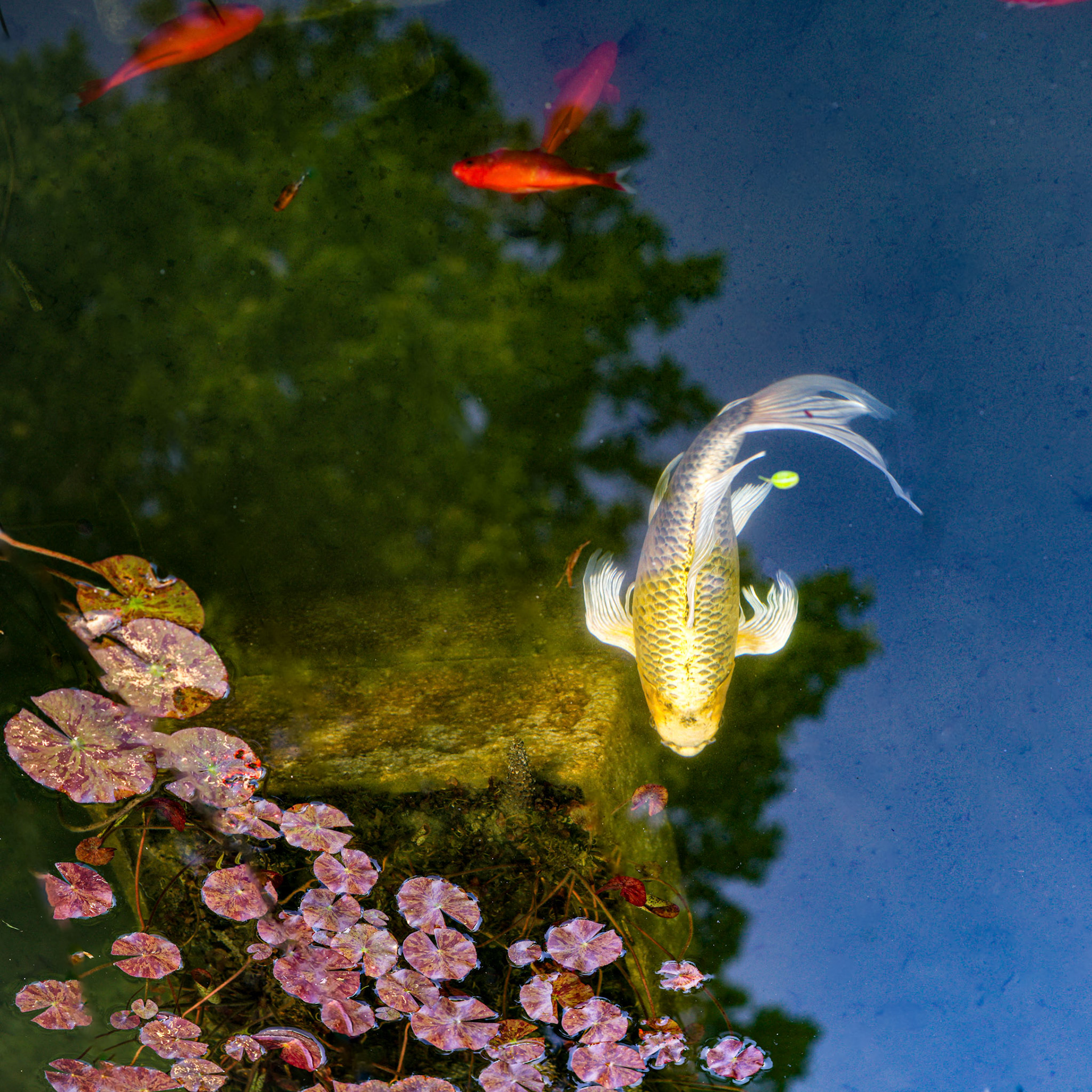 Lausanne, 2024 © Georges Felouzis