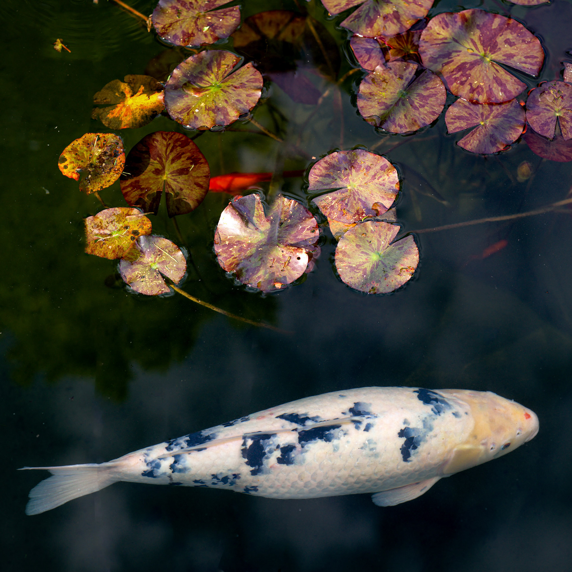 Lausanne, 2024 © Georges Felouzis