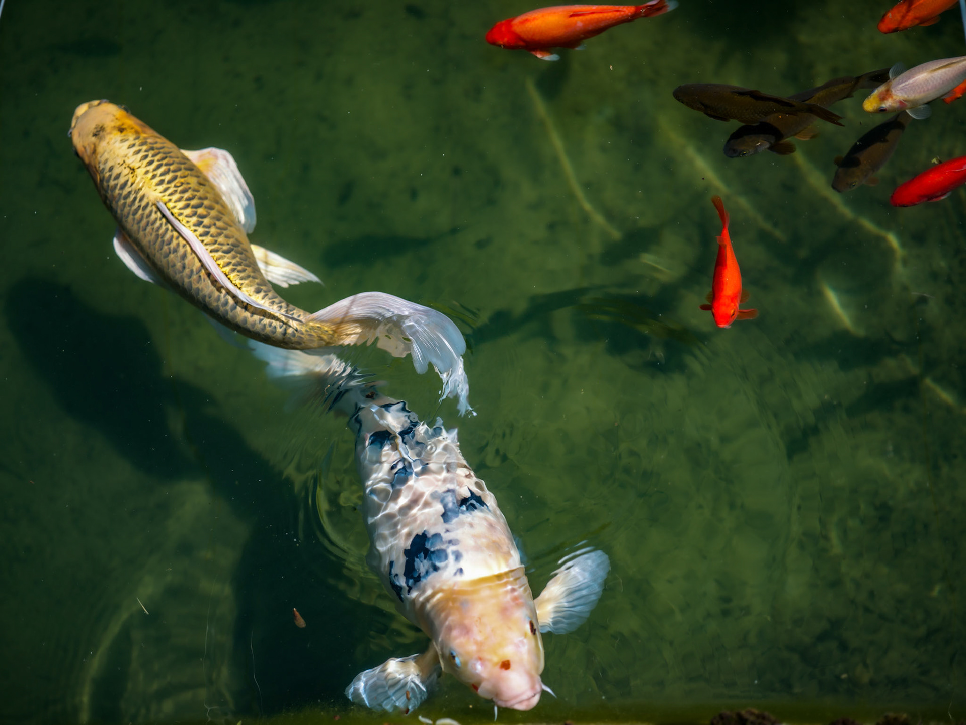 Lausanne, 2024 © Georges Felouzis