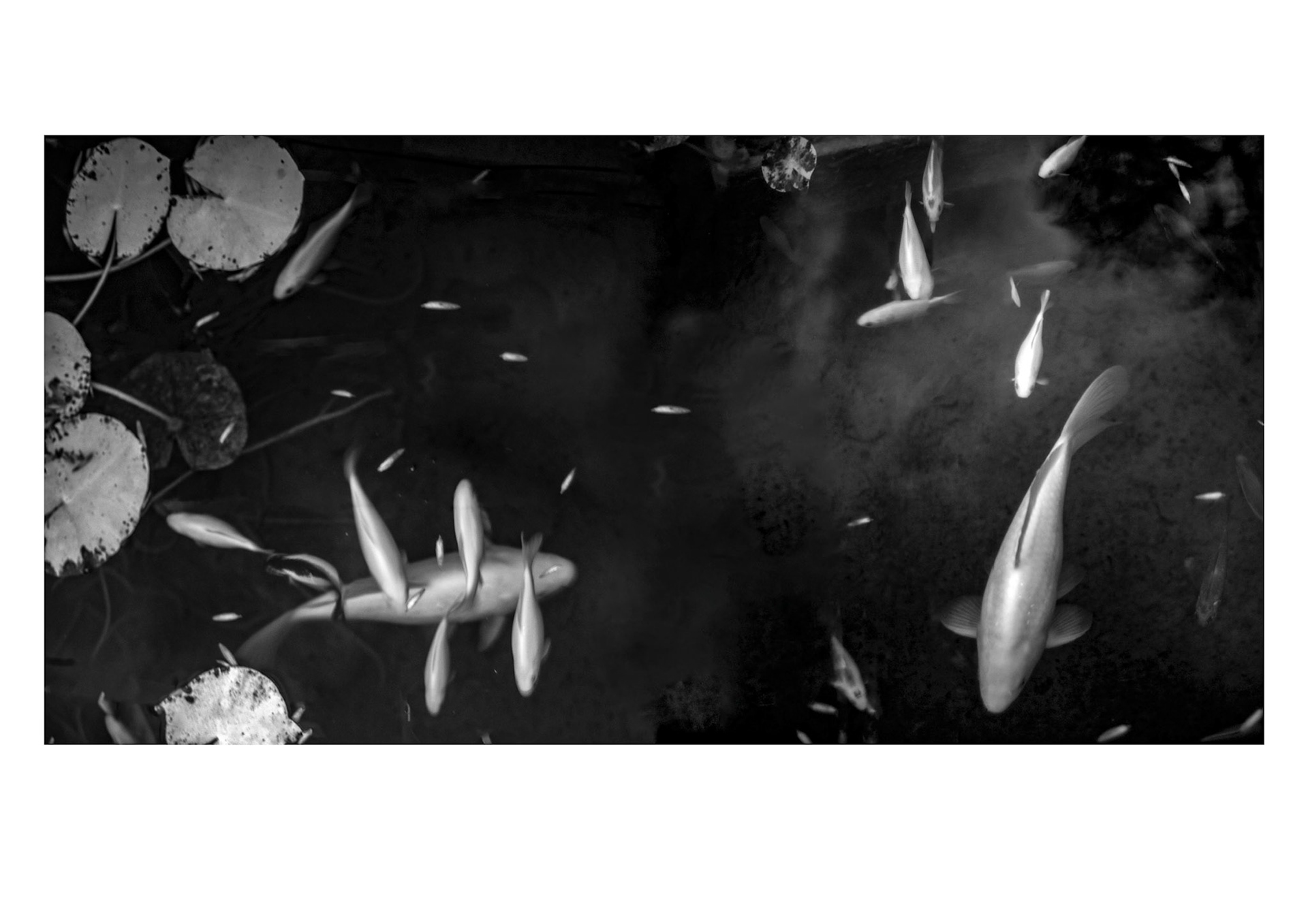 Lausanne, 2024 © Georges Felouzis