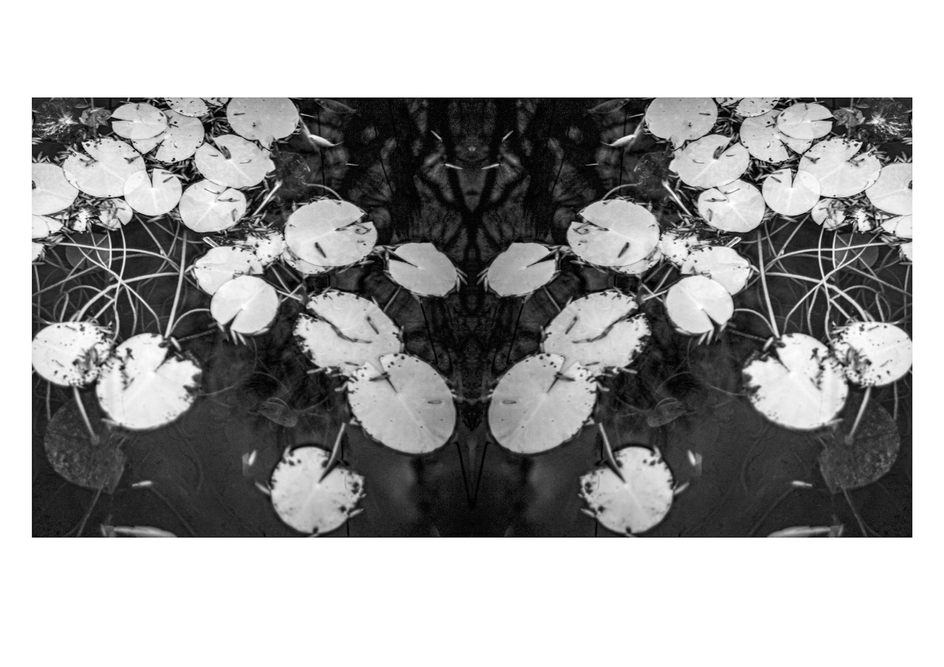 Lausanne, 2024 © Georges Felouzis