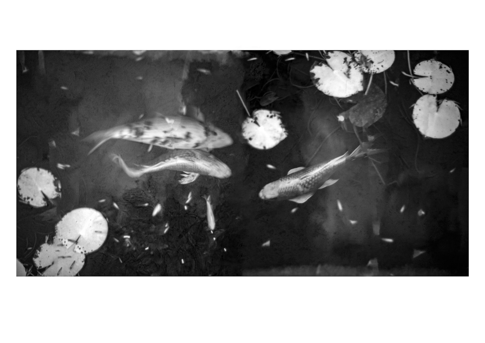 Lausanne, 2024 © Georges Felouzis