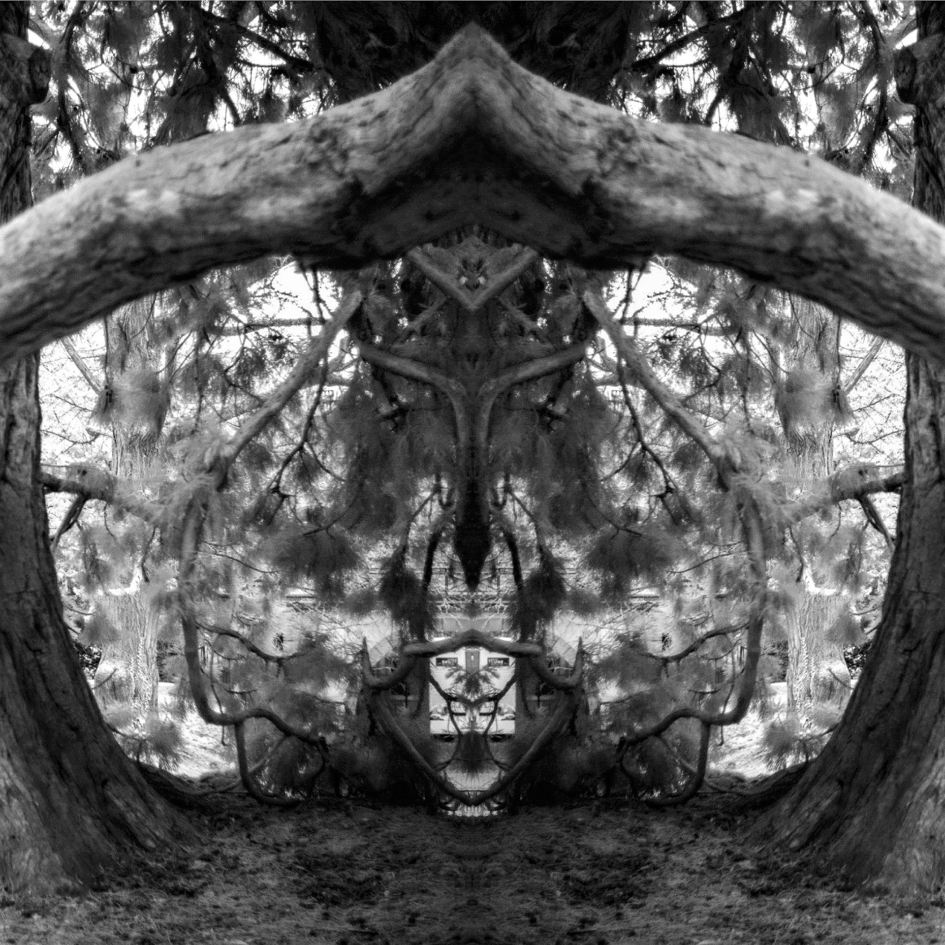 Lausanne, 2024 © Georges Felouzis