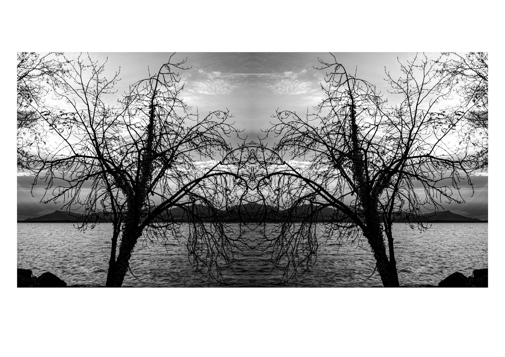 Lac Léman, 2024 © Georges Felouzis