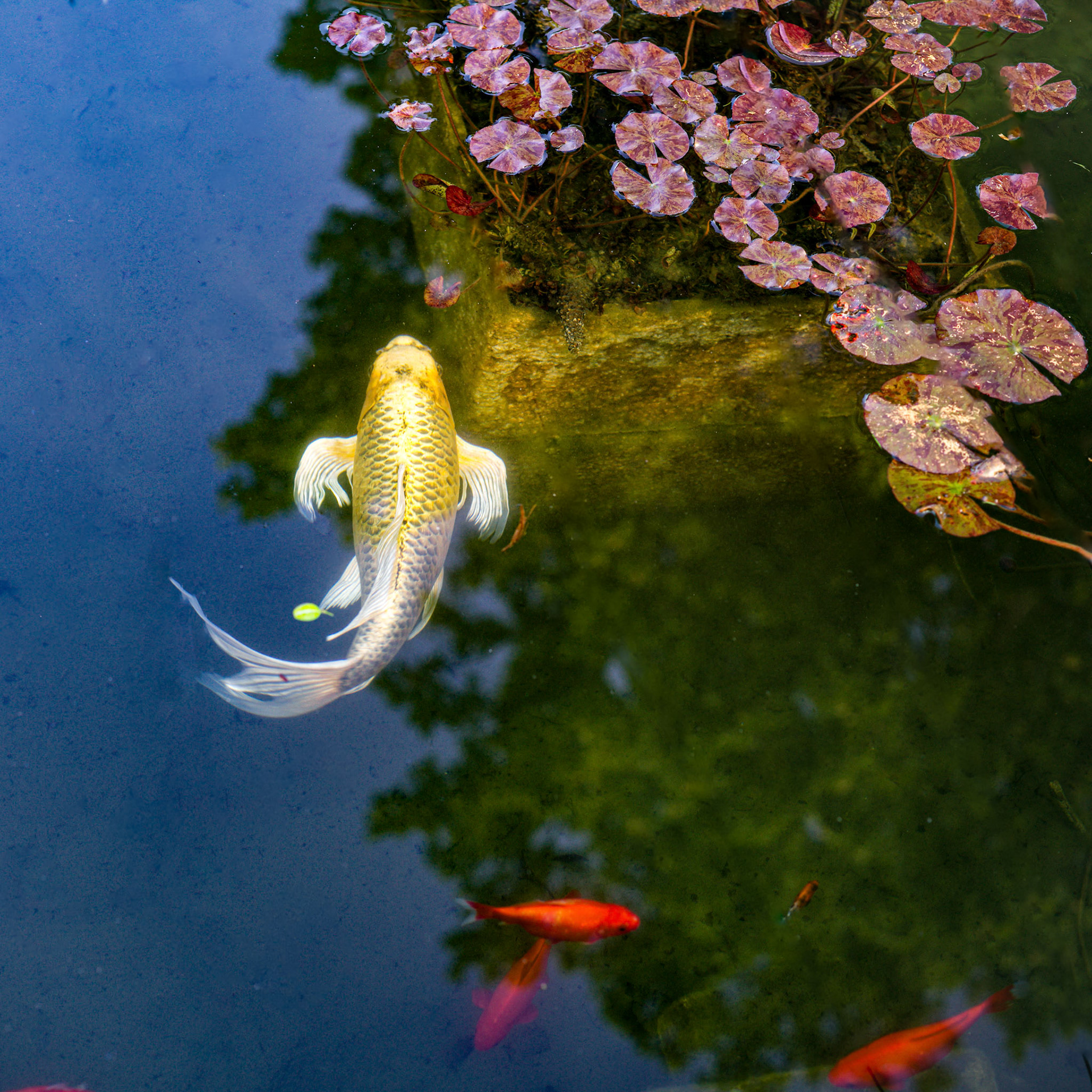 Lausanne, 2024 © Georges Felouzis
