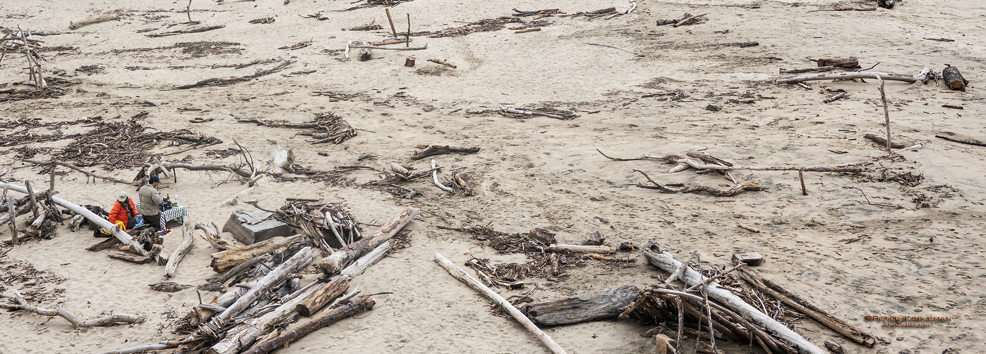 Picnic in the Sand - St. Gregario State Beach, CA