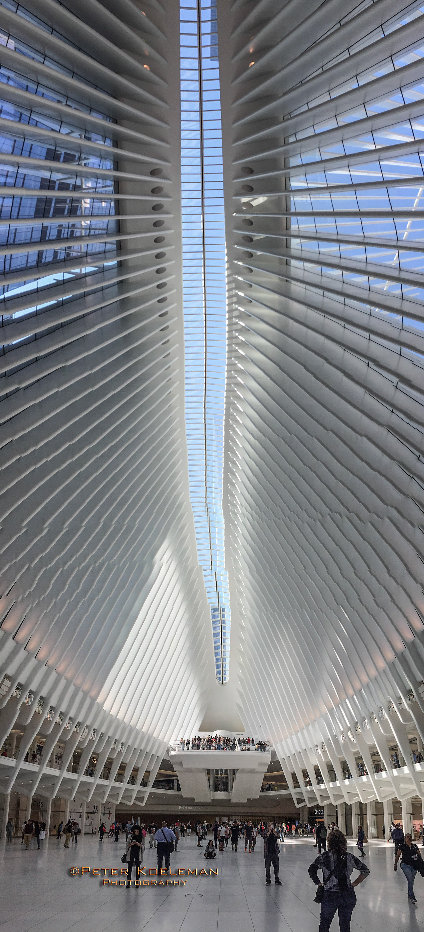 WTC Occulus - Manhatten