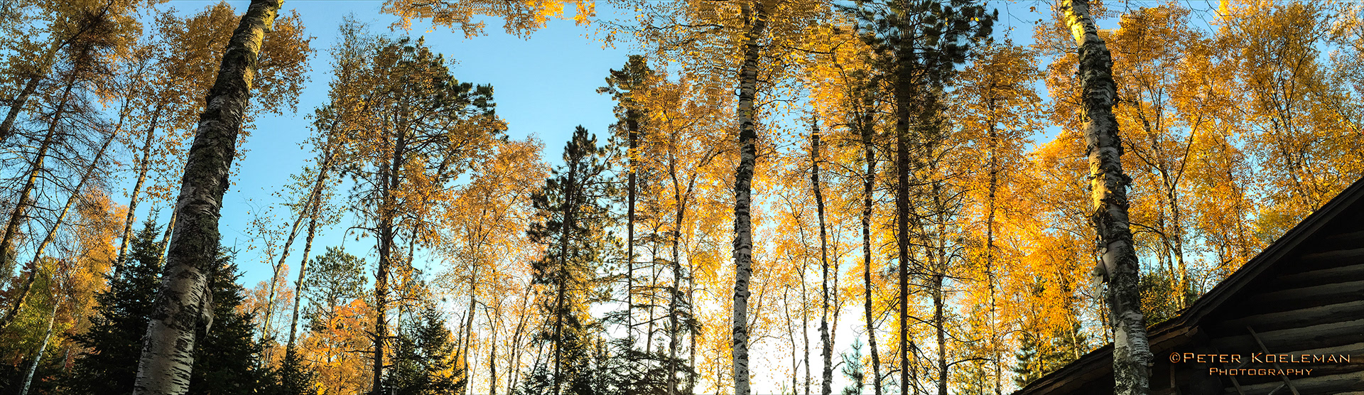 Fall in the Lake Country