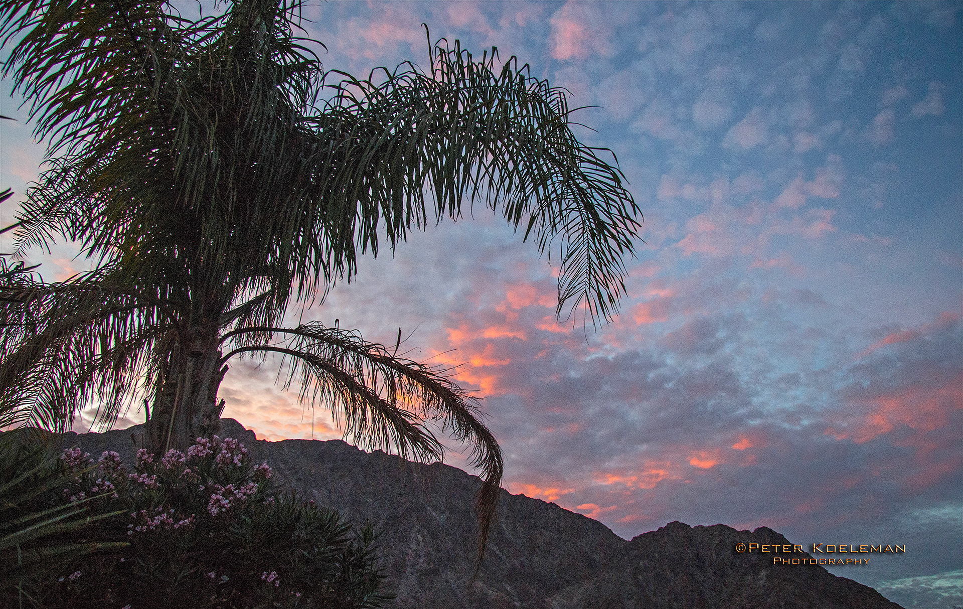 Dusk in Palm Desert