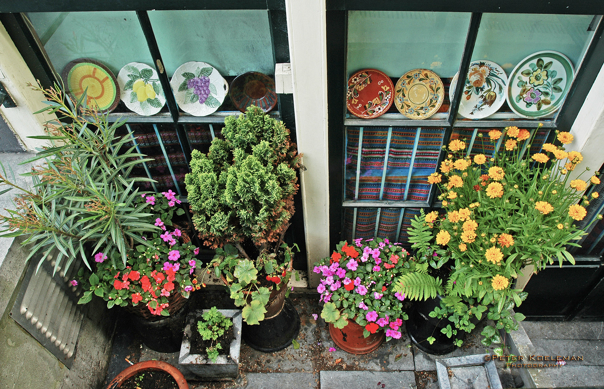Window Well - Amsterdam