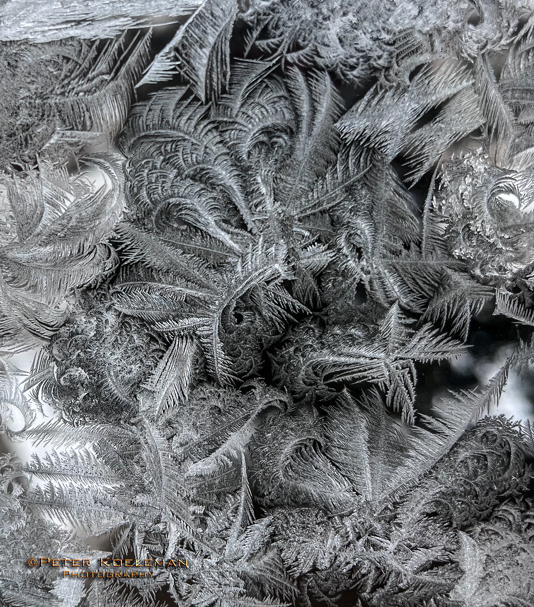 Ice on Window