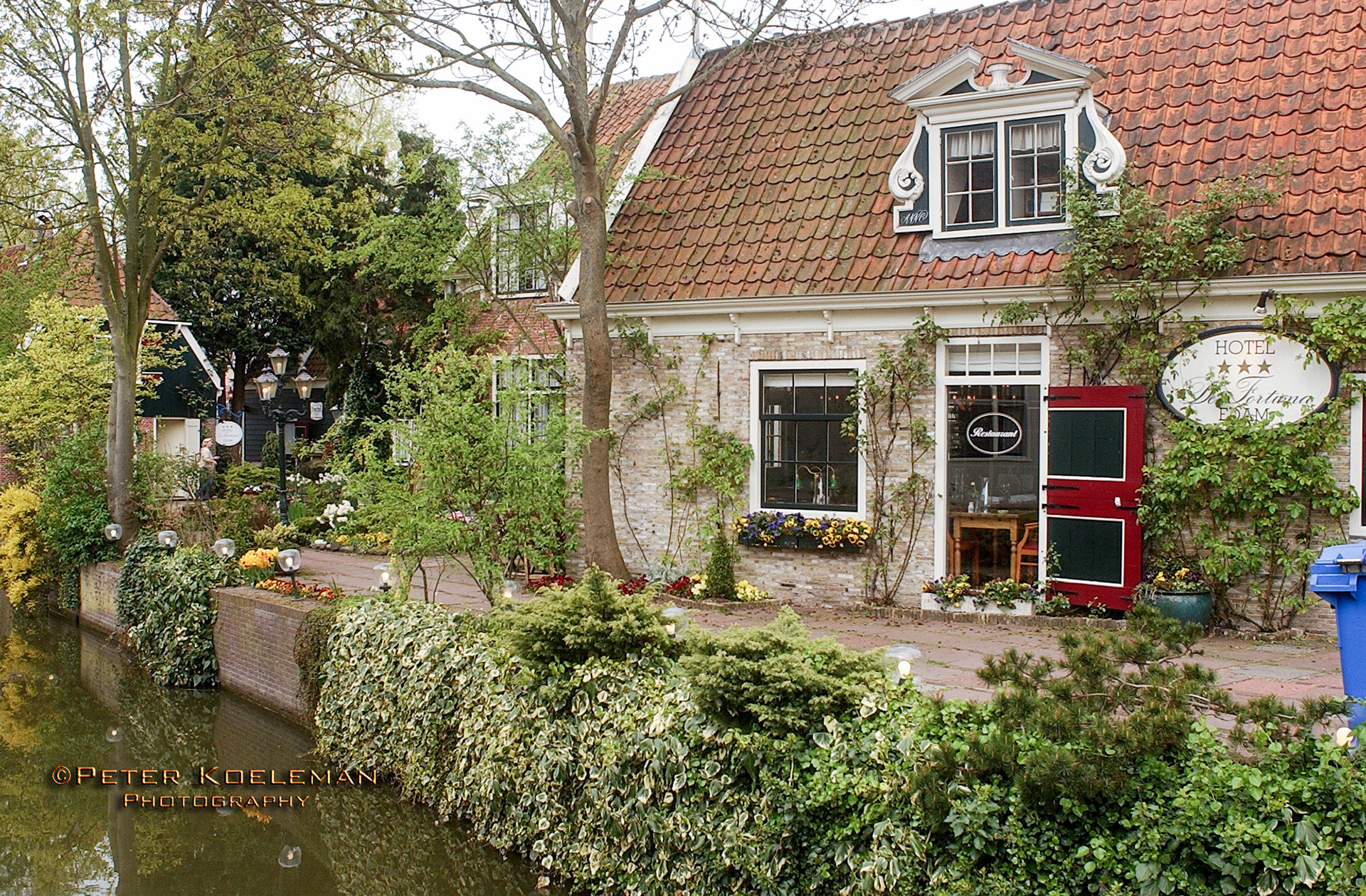 Edam