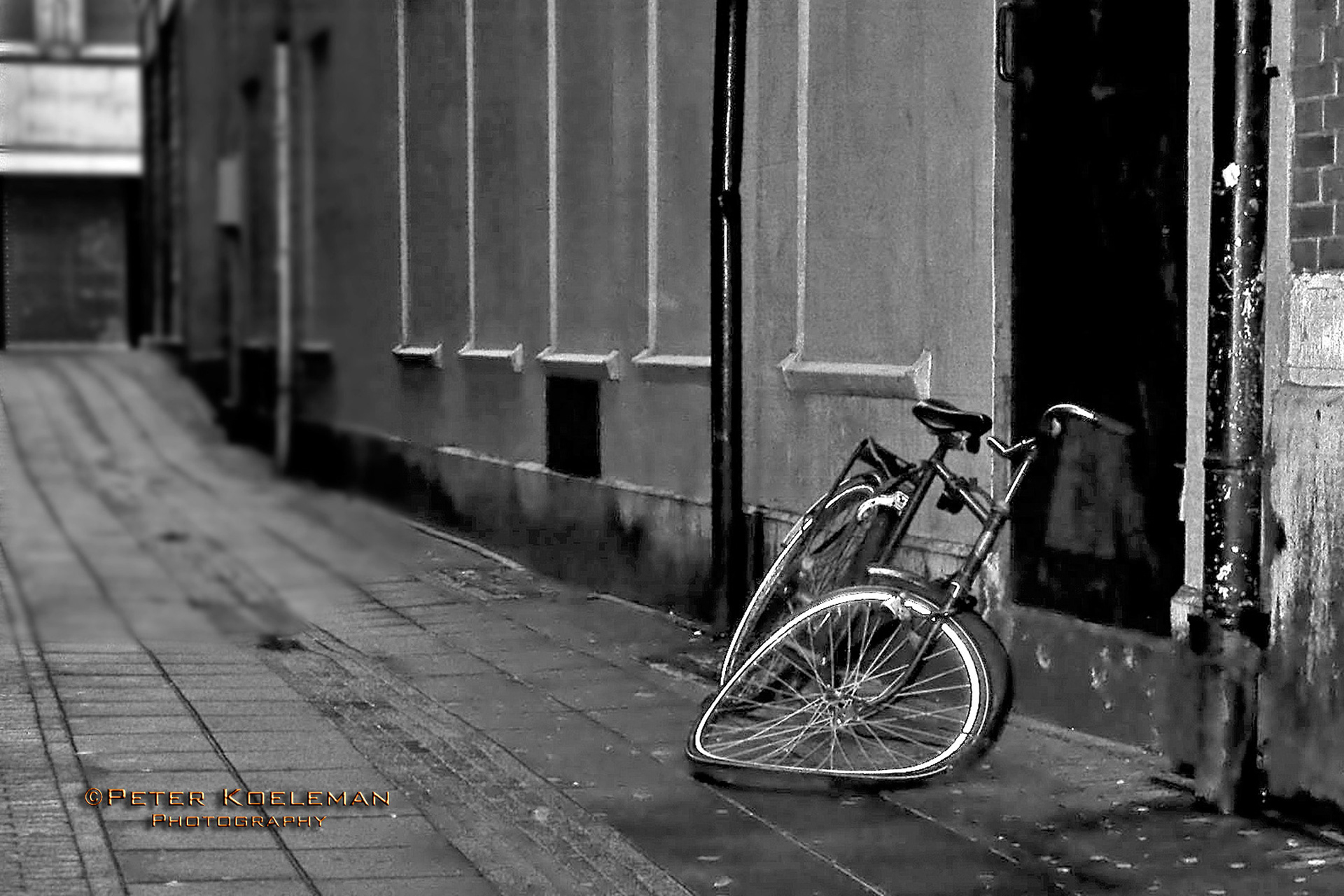 Abandoned Bicycle - Amsterdam