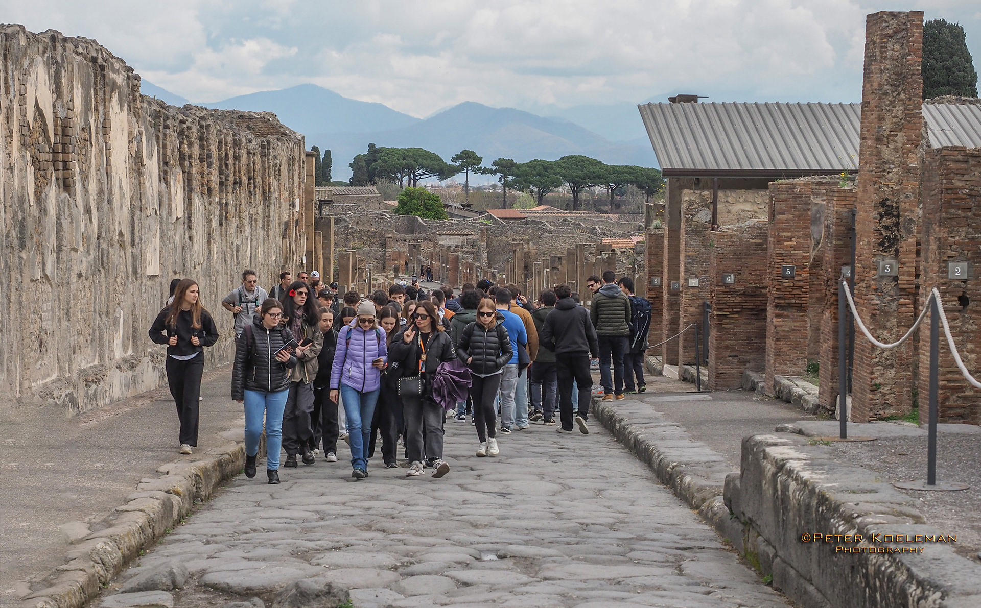 School Excursion in Pompeii with Mt. Vesuvius in Background
