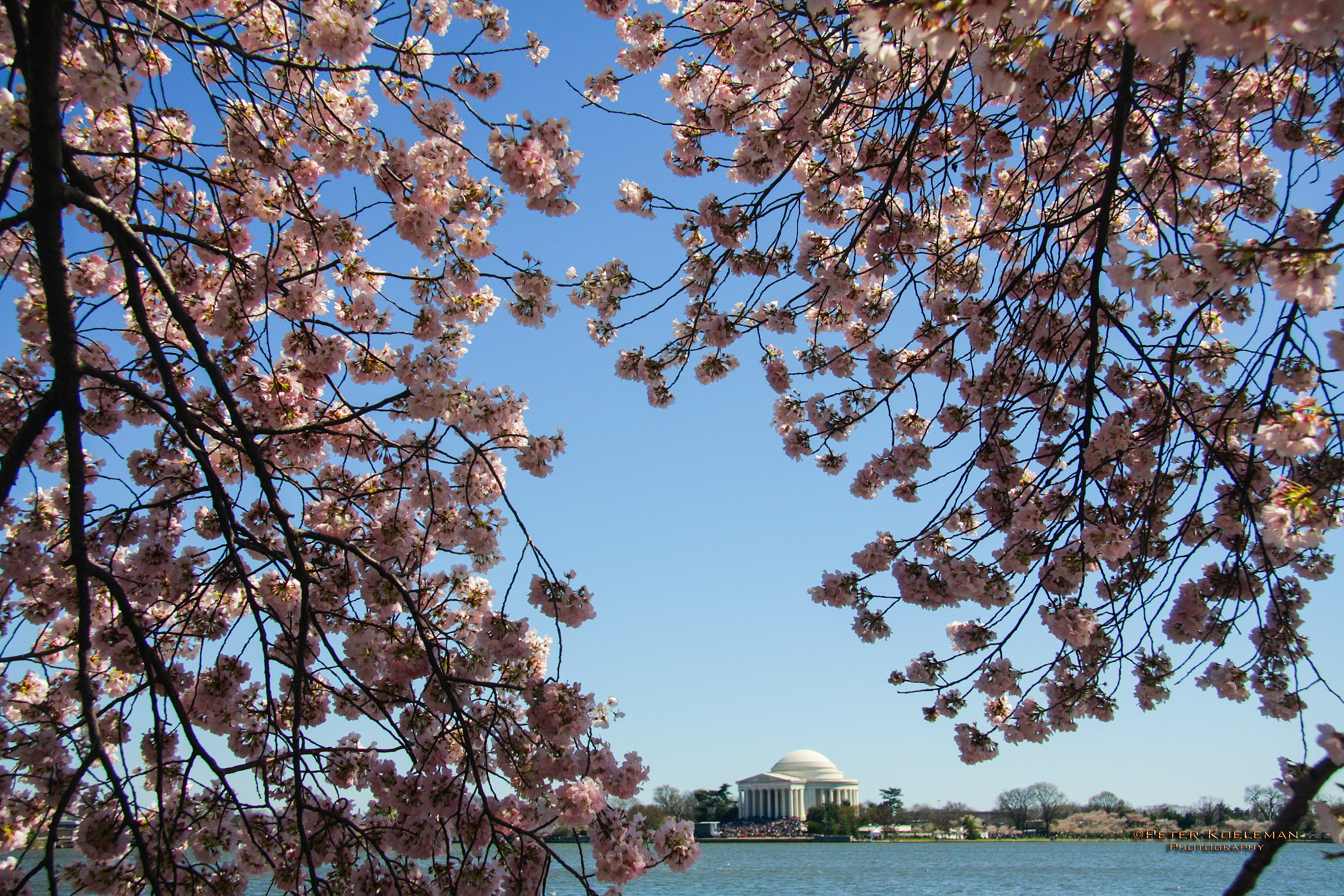 Jefferson Memorial in Spring, Washington, D.C.