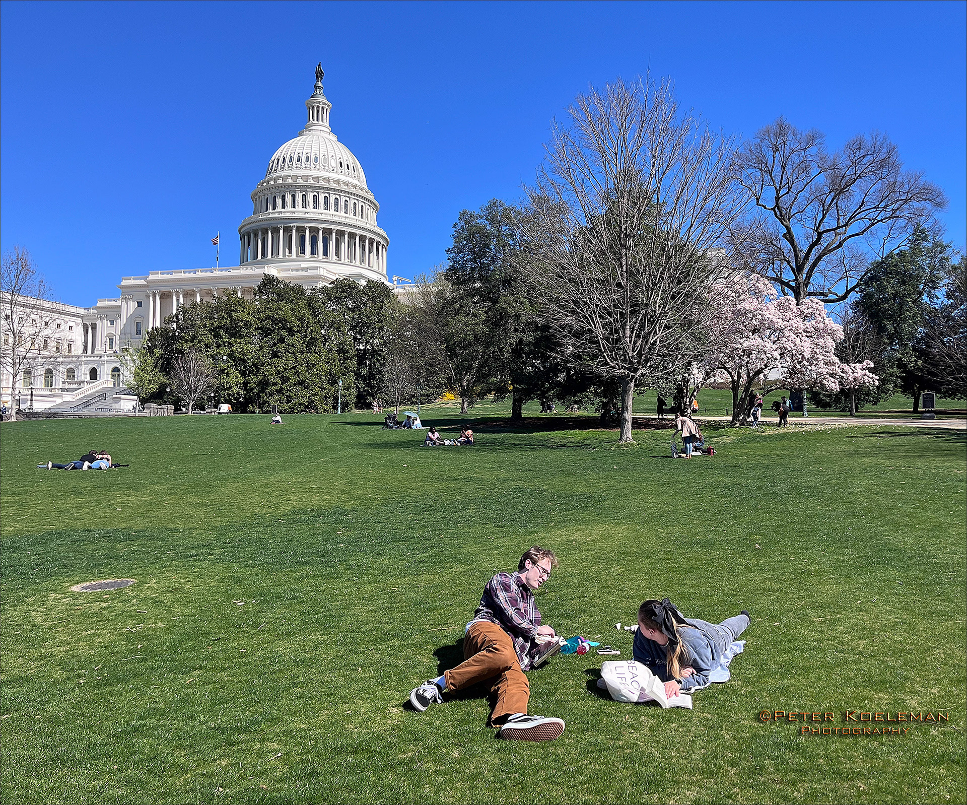 Lunch Time - Washington D.C.