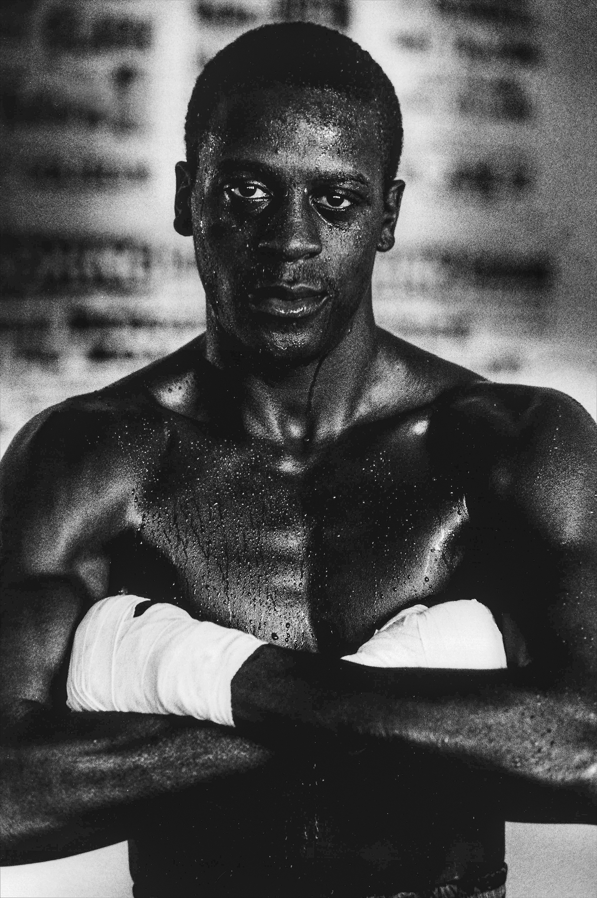 Boxer