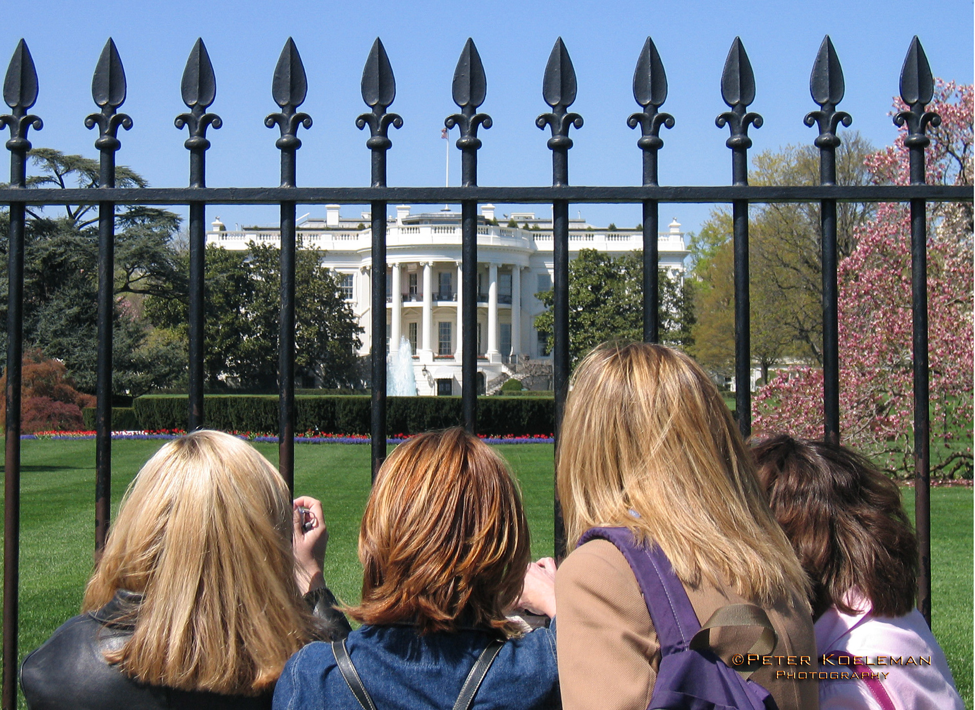 The White House - Washington D.C.