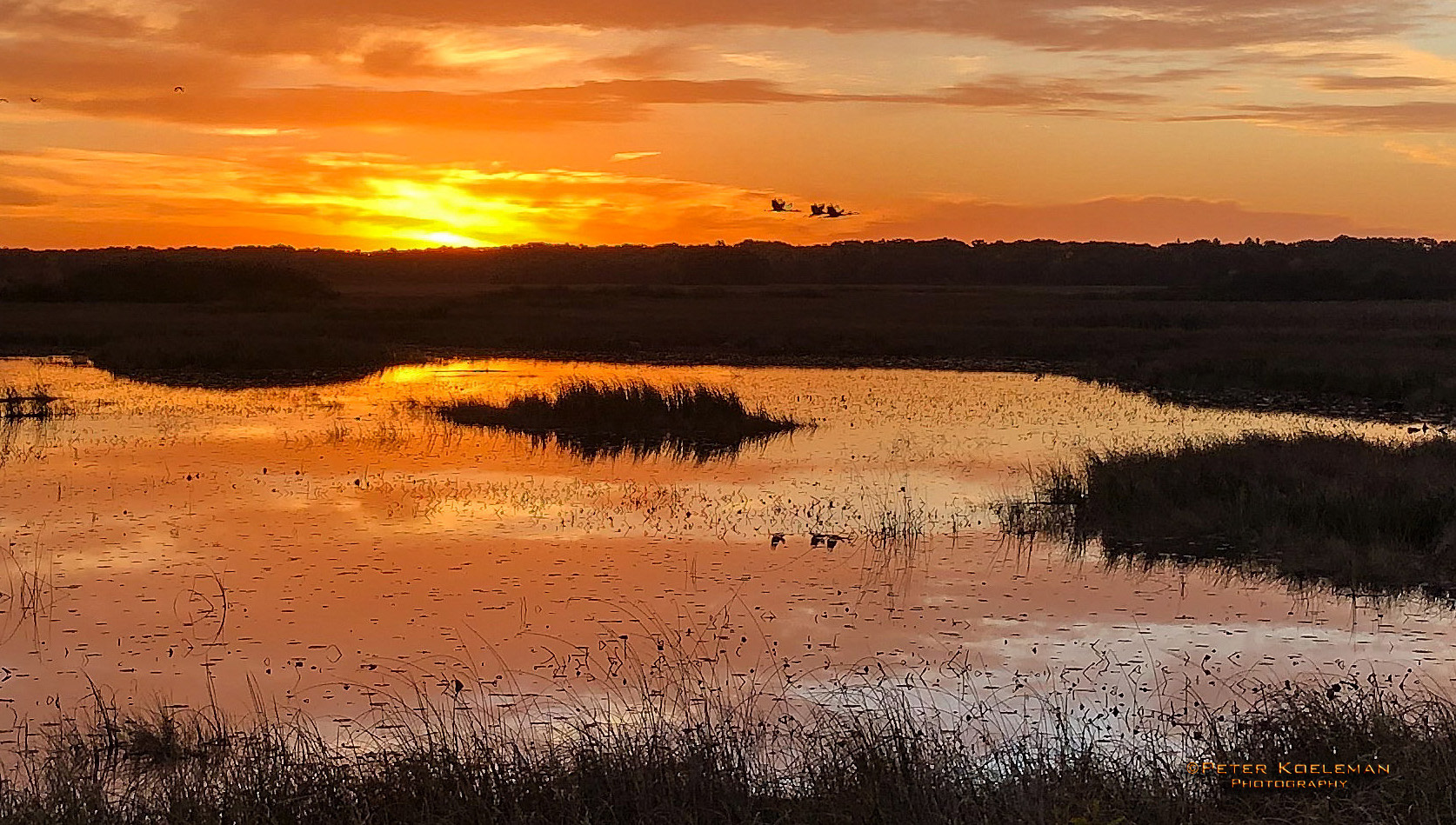 Sunset at Crex Meadow, Wisconsin
