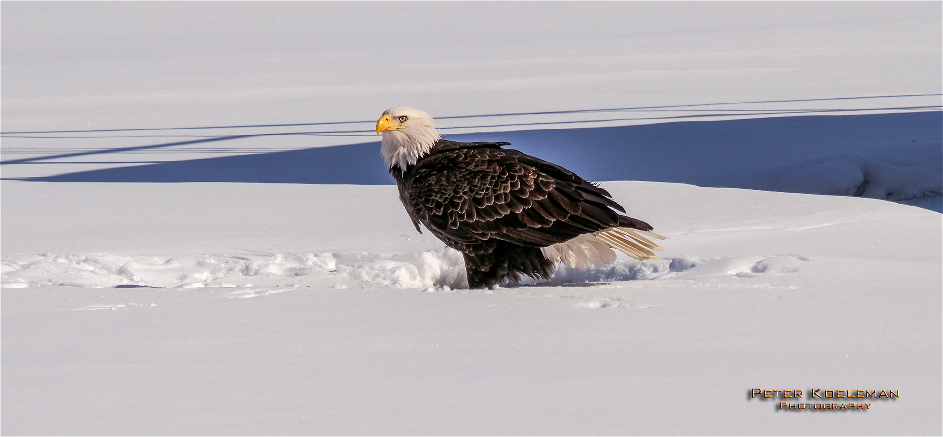 On the Frozen Mississippi