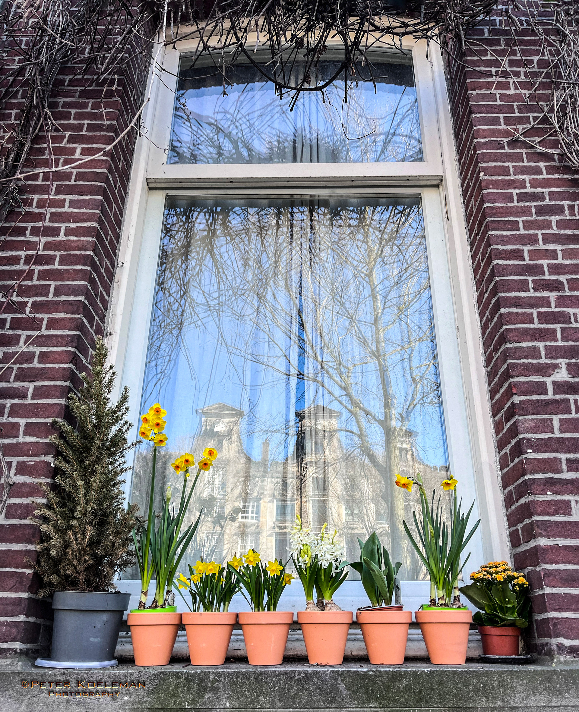 A Typical Window Sill in Amsterdam 