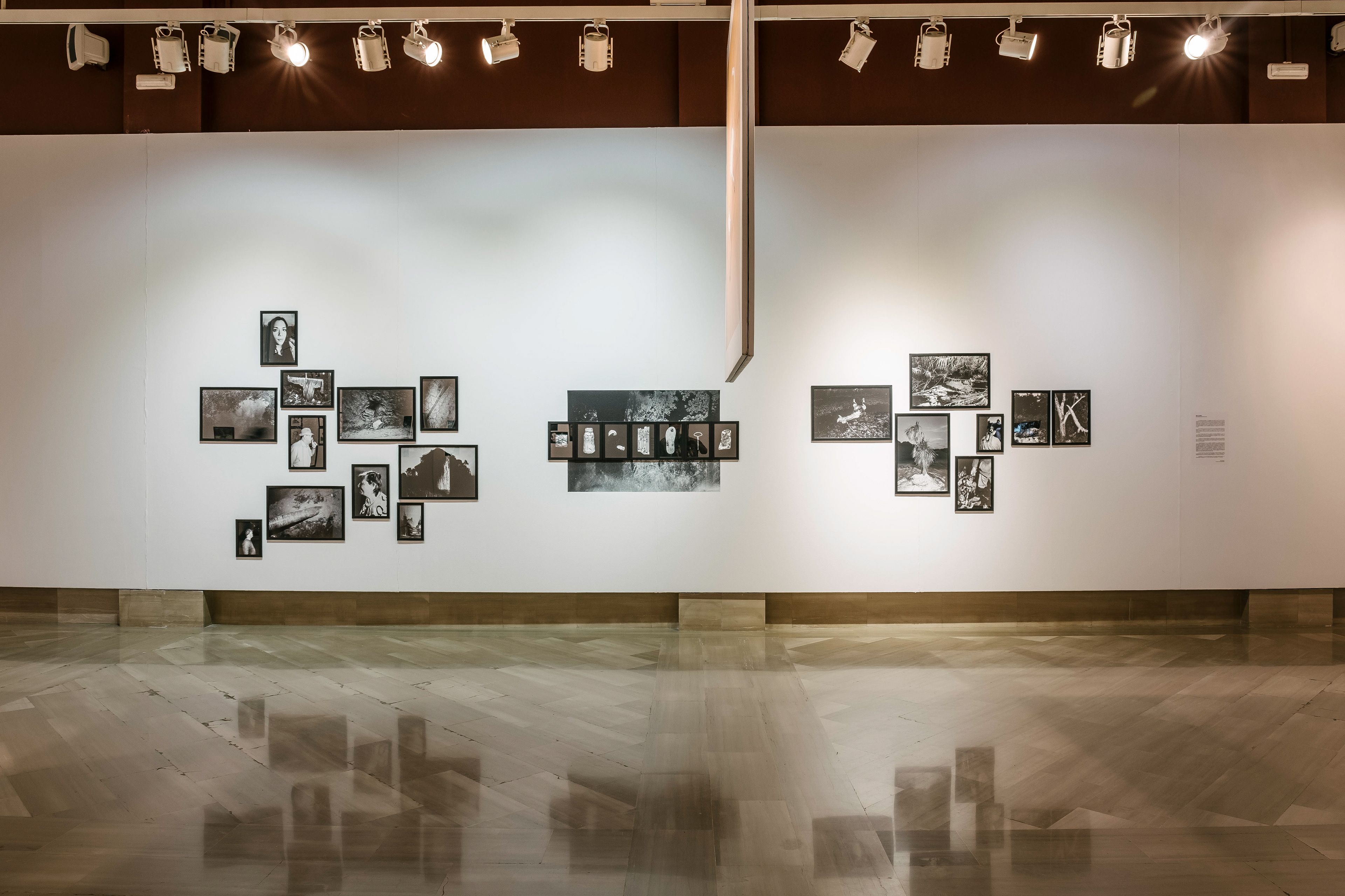 Festival PhotoAlicante, 2020