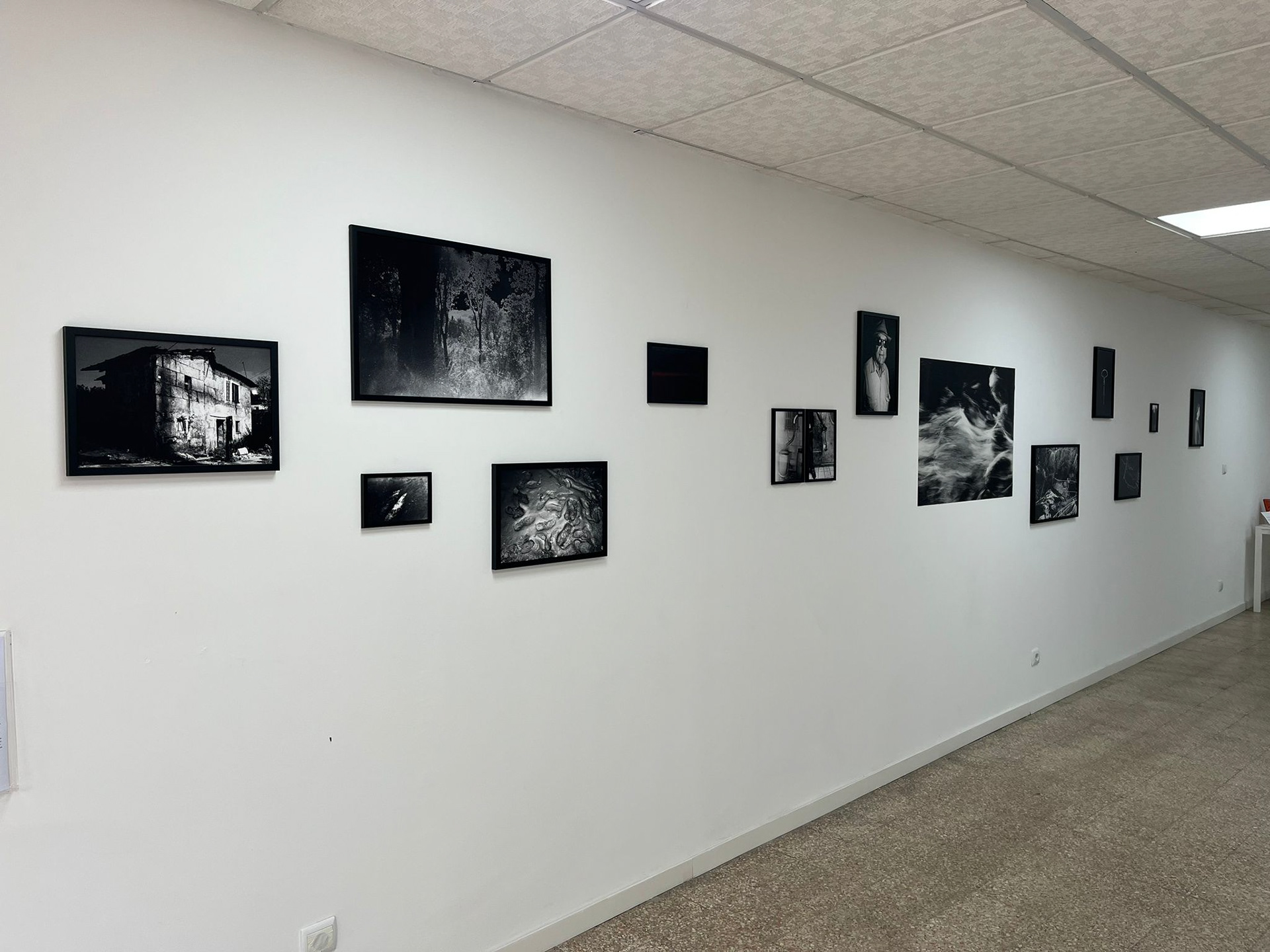 Festival Imago Lisboa, 2023