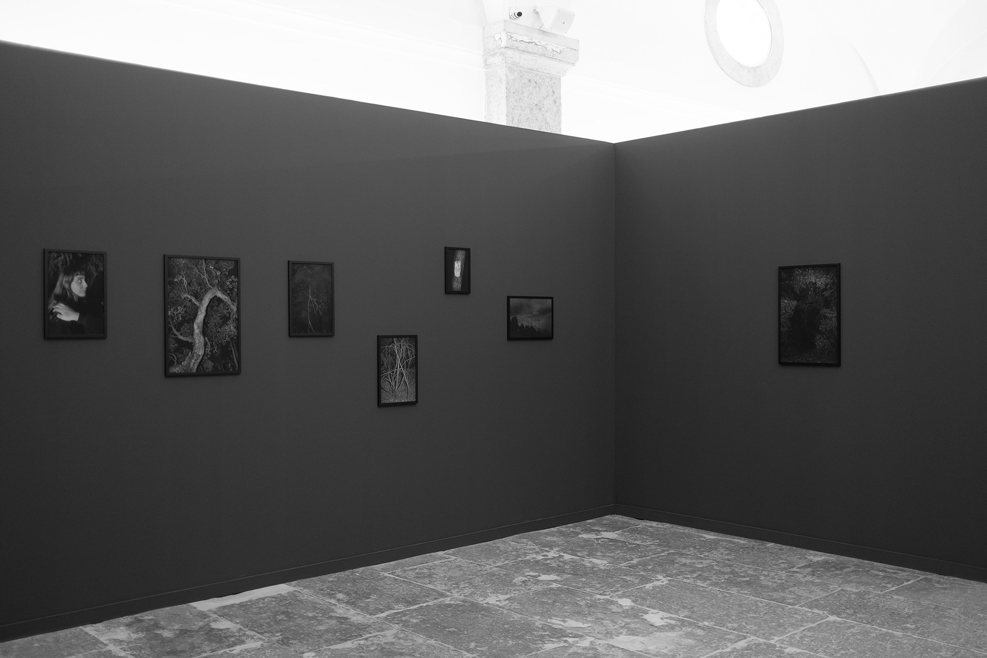 Bienal de Fotografia Vila Franca de Xira, 2022