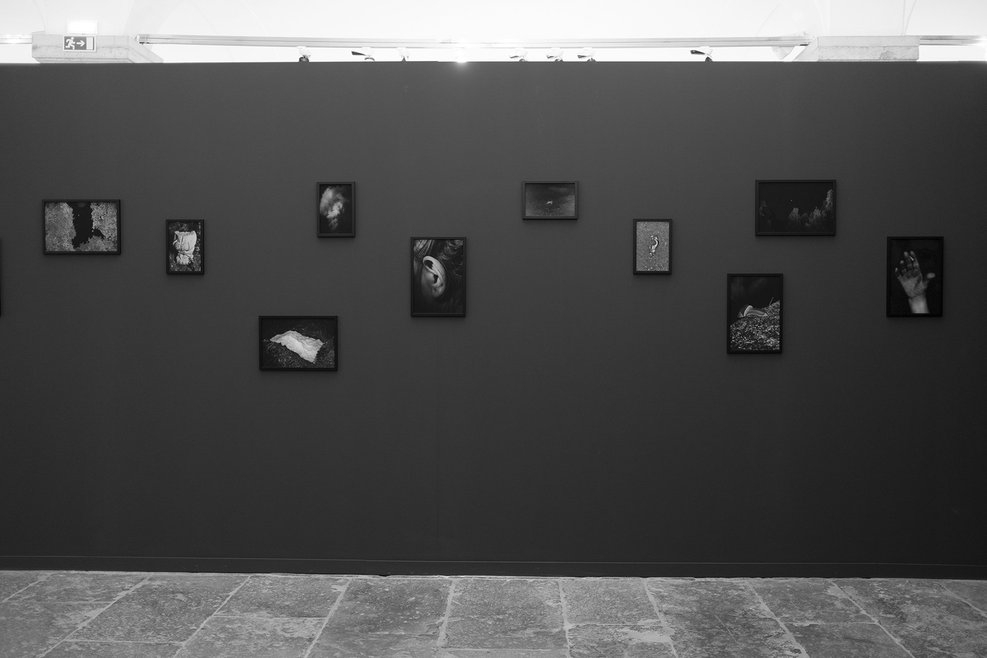 Bienal de Fotografia Vila Franca de Xira, 2022