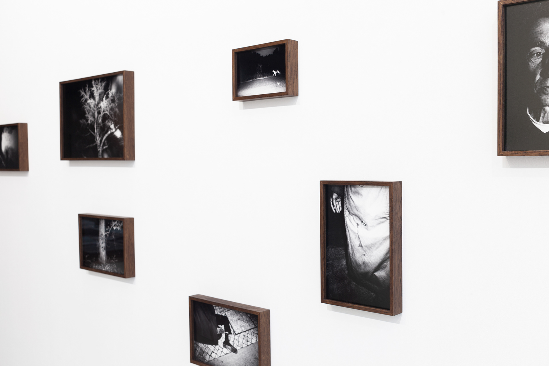 Galeria Adorna, 2021