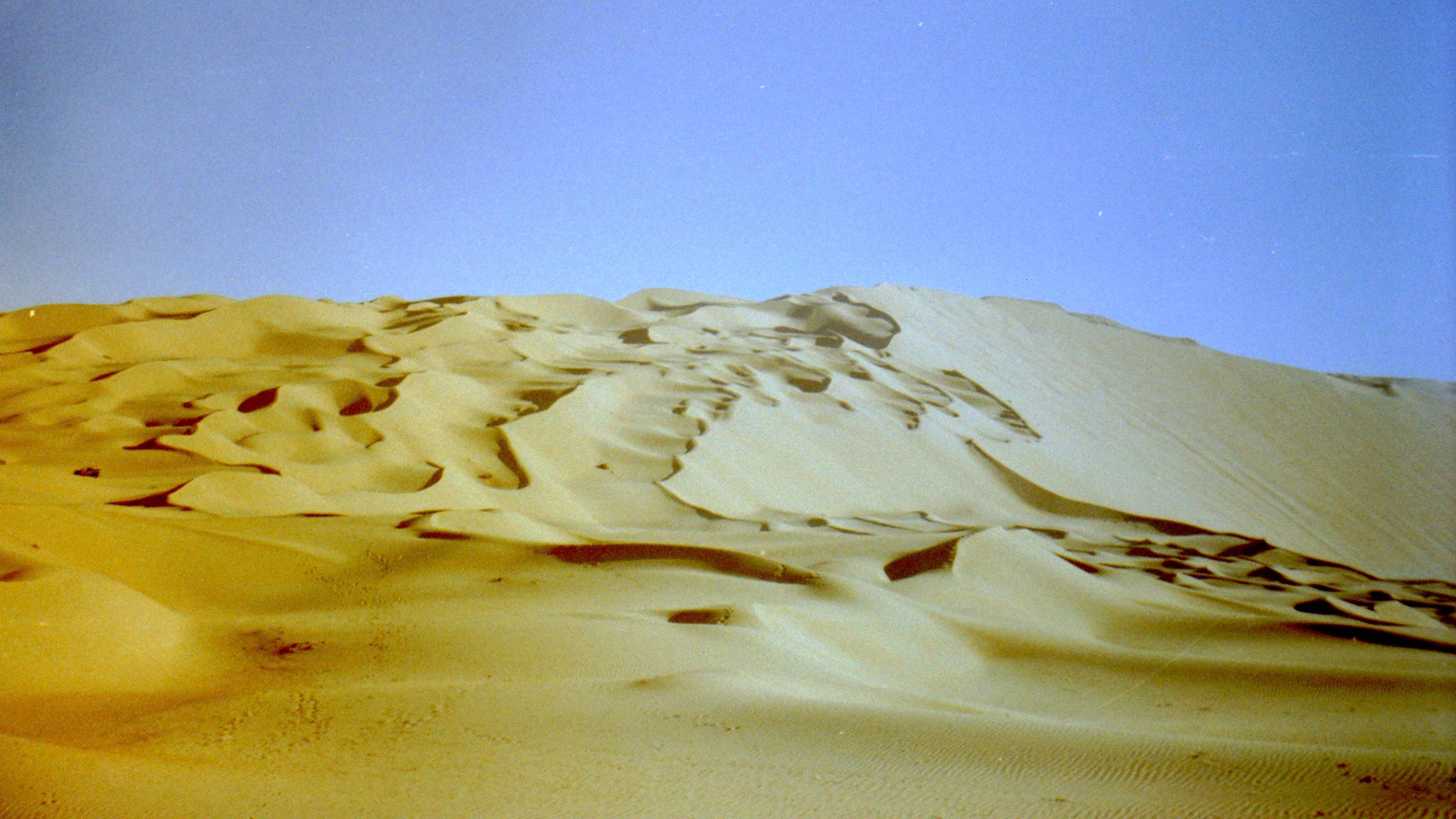 My beautiful picture