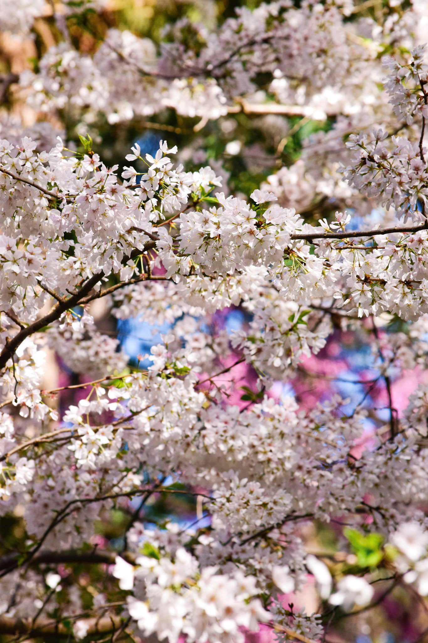 Processed with VSCO with g6 preset