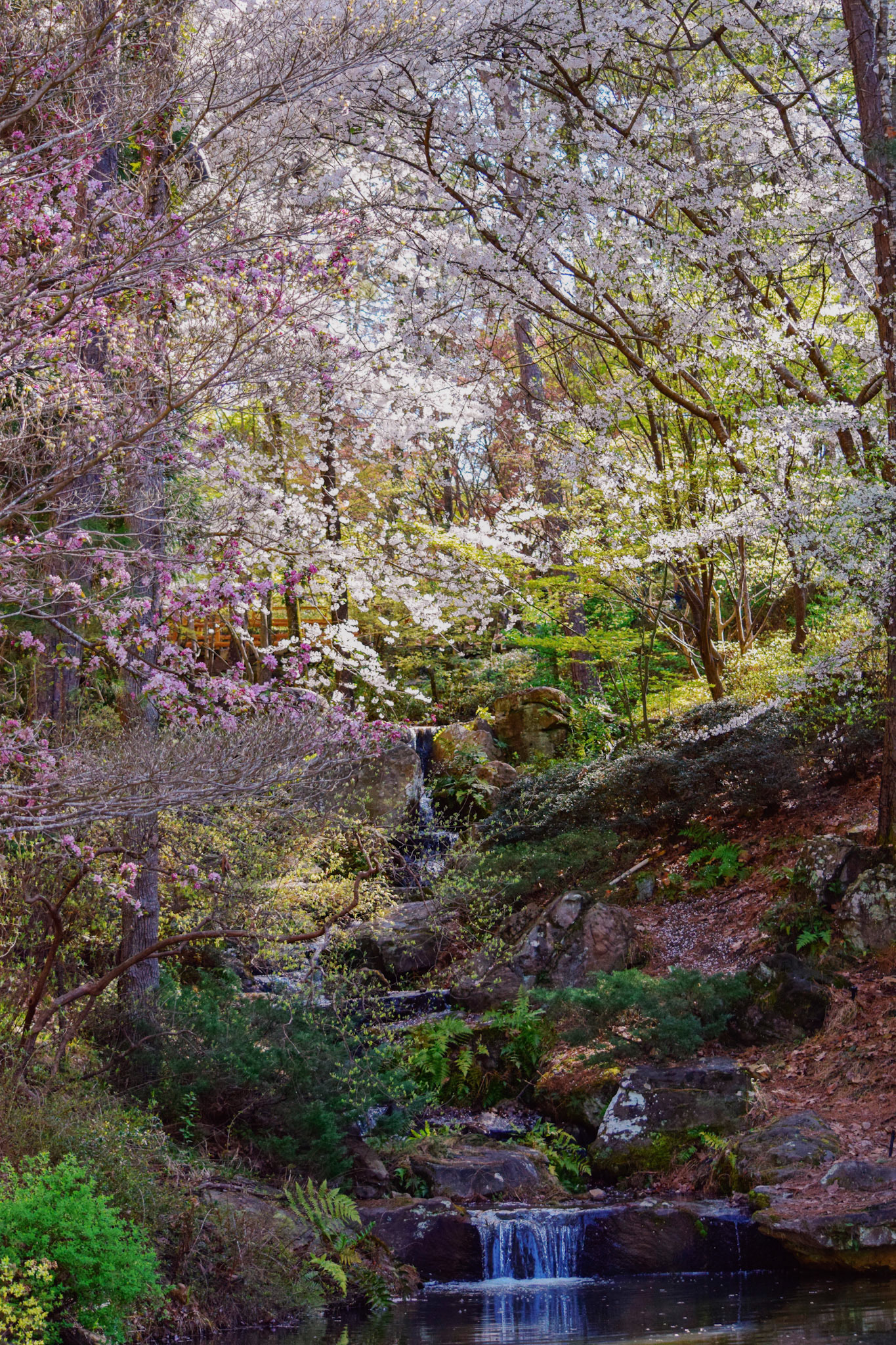 Processed with VSCO with au5 preset