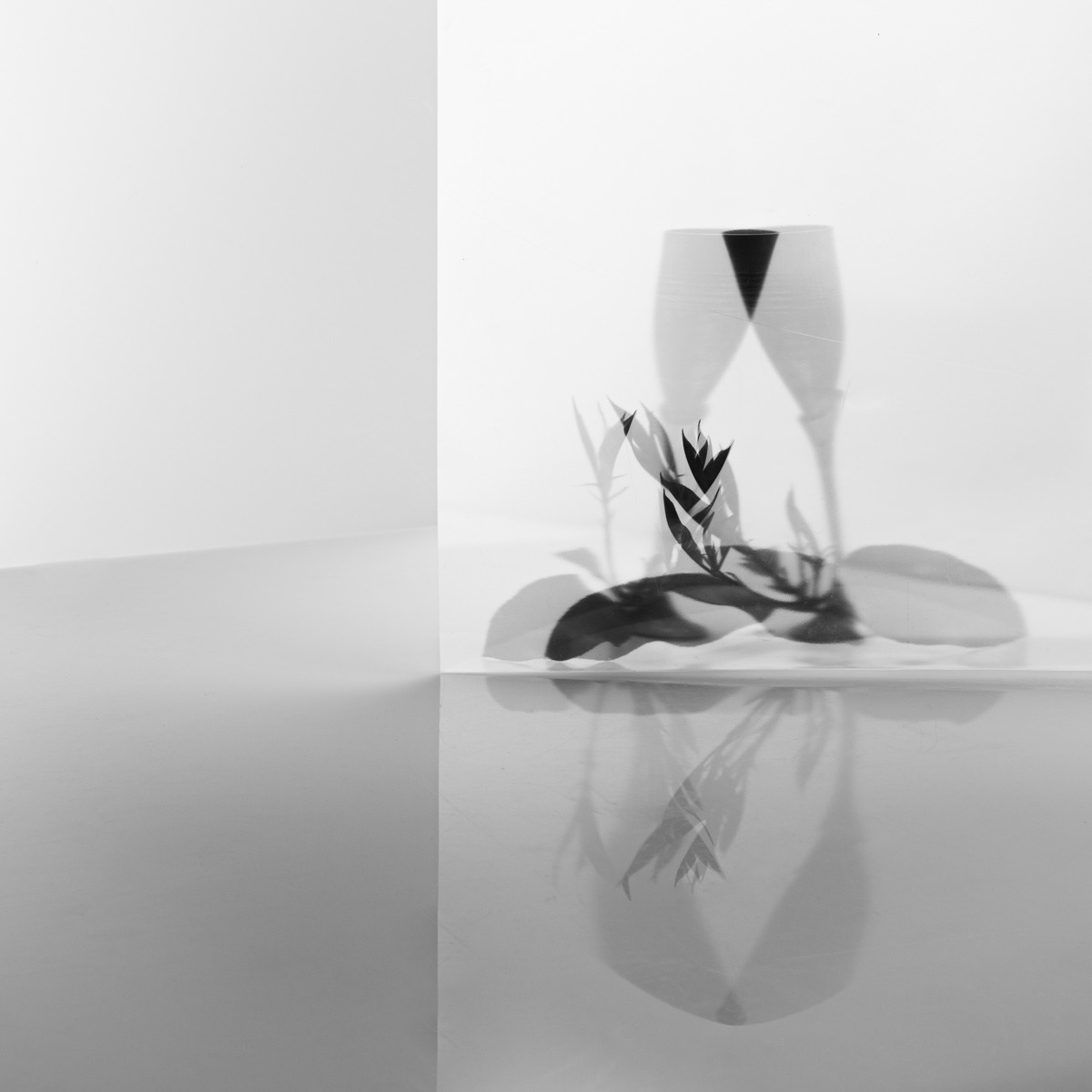 Abstract still life with reflection